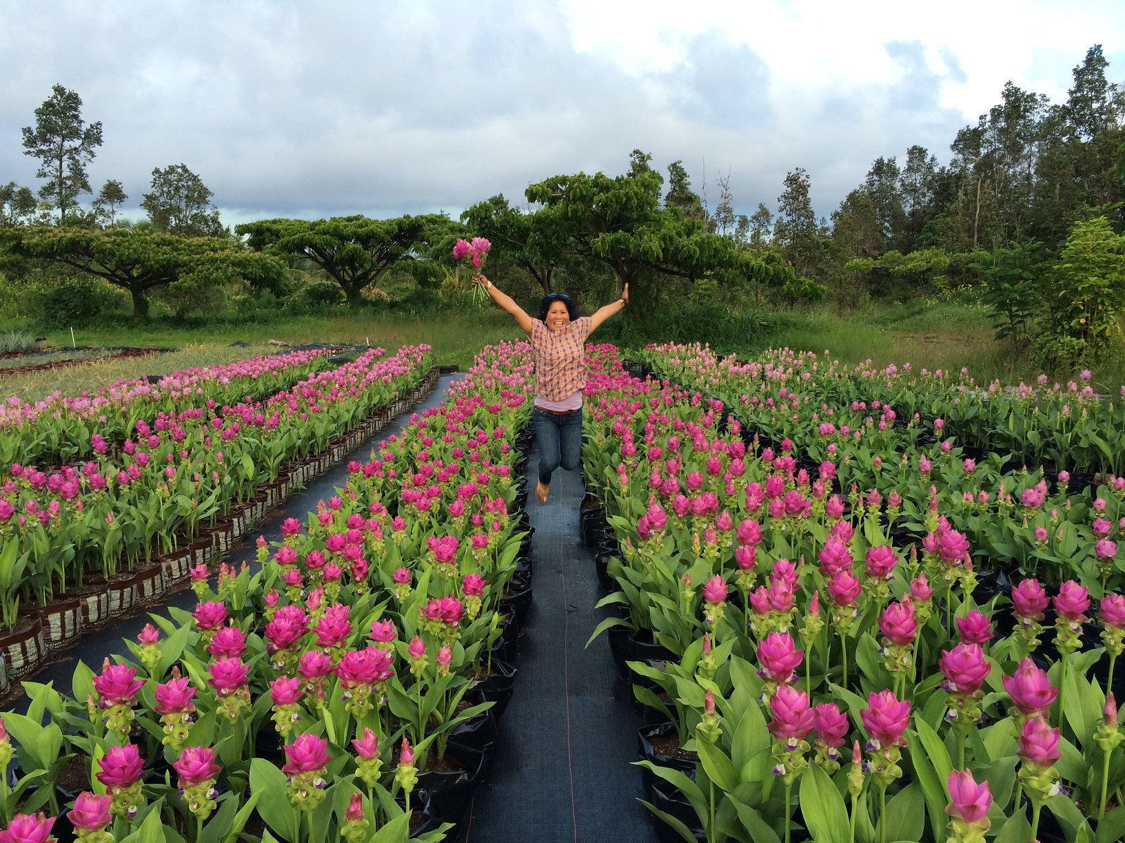 Tropical farm goals.