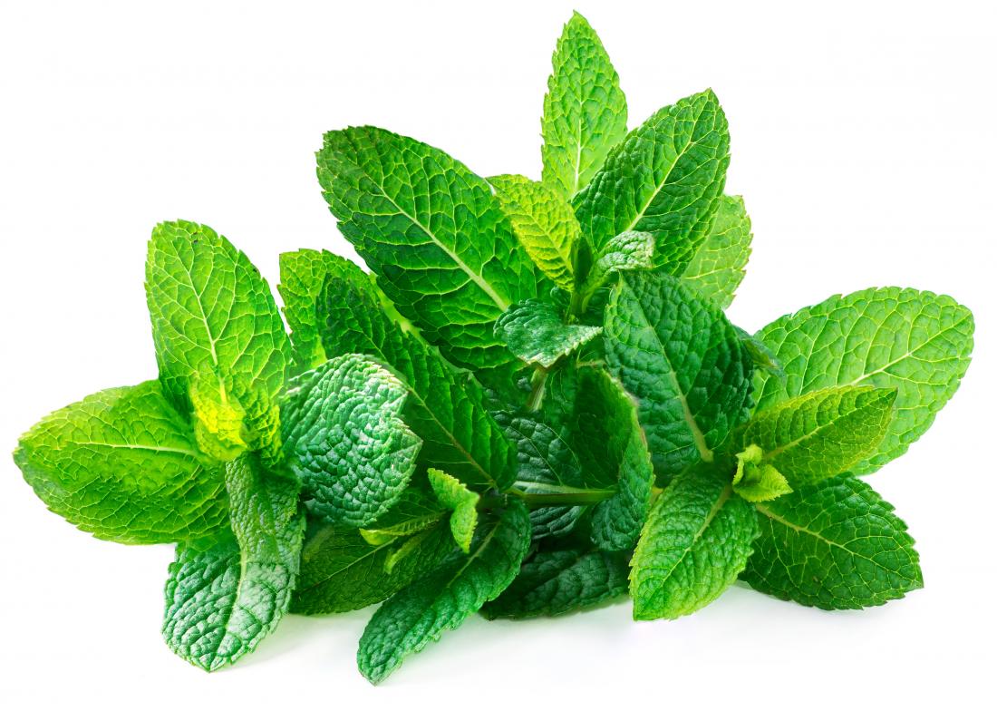 a-bunch-of-spearmint-leaves.jpg