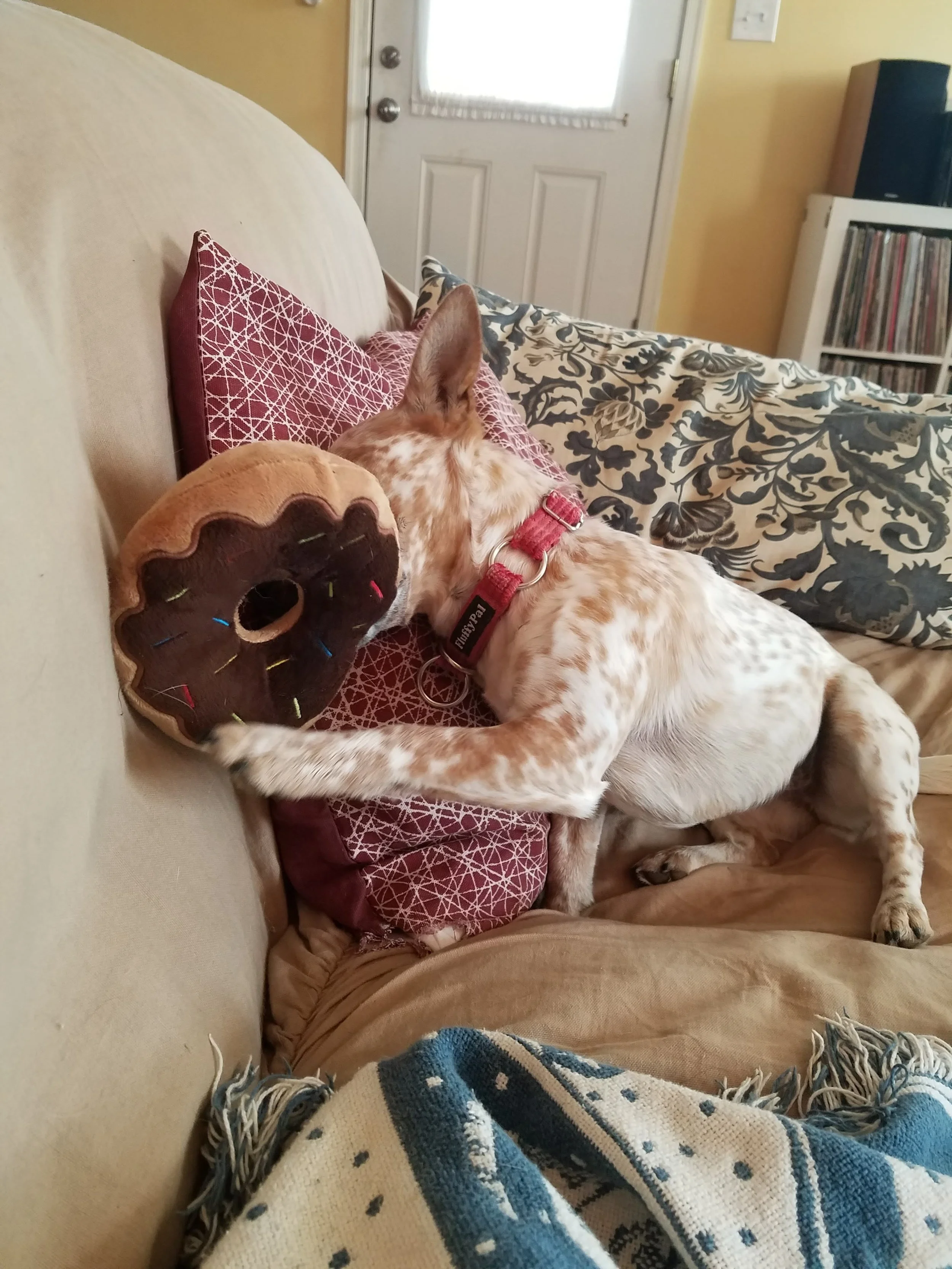 Rosie is not ready to stop holiday eating!