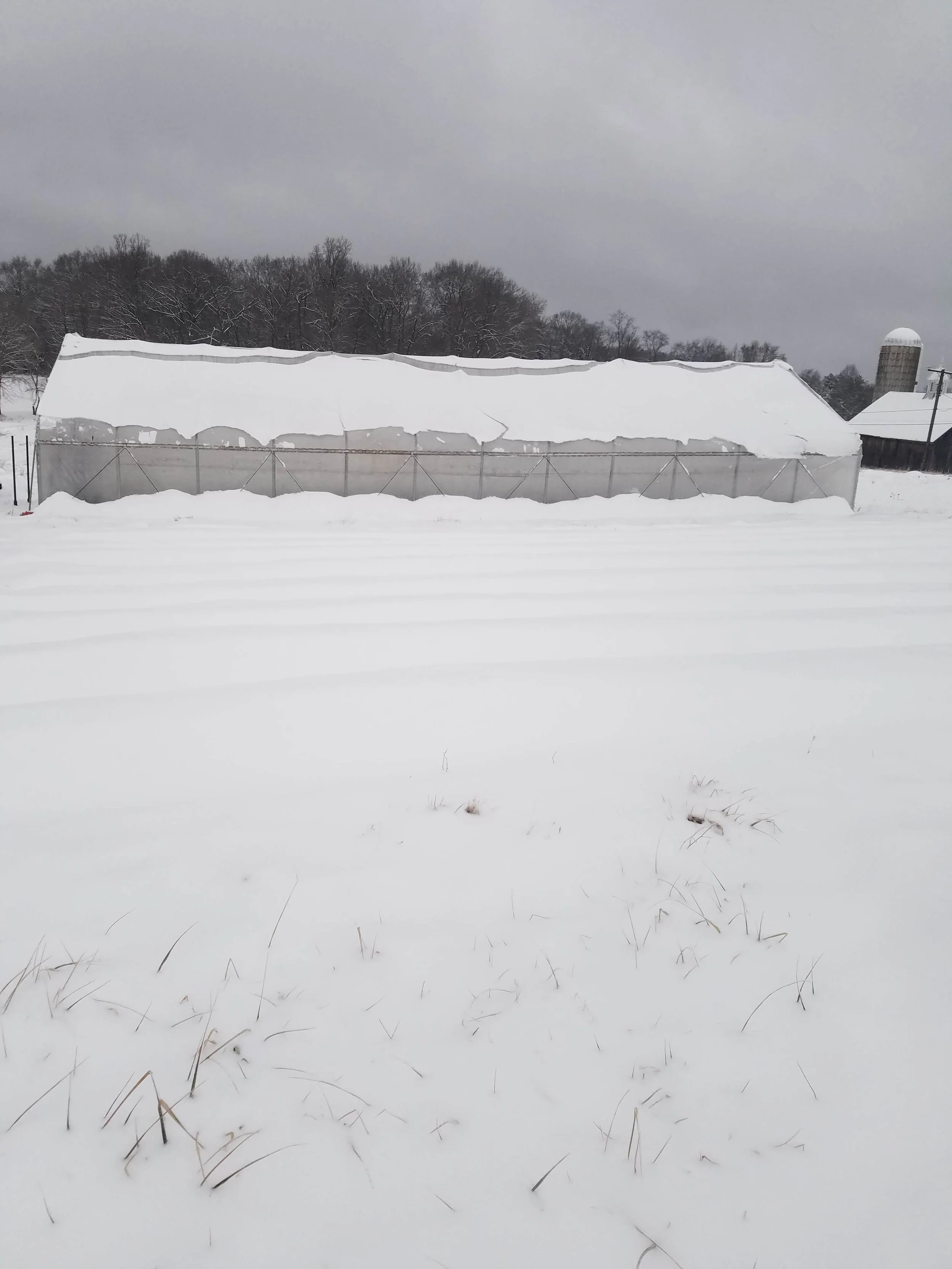 It just keeps snowing!