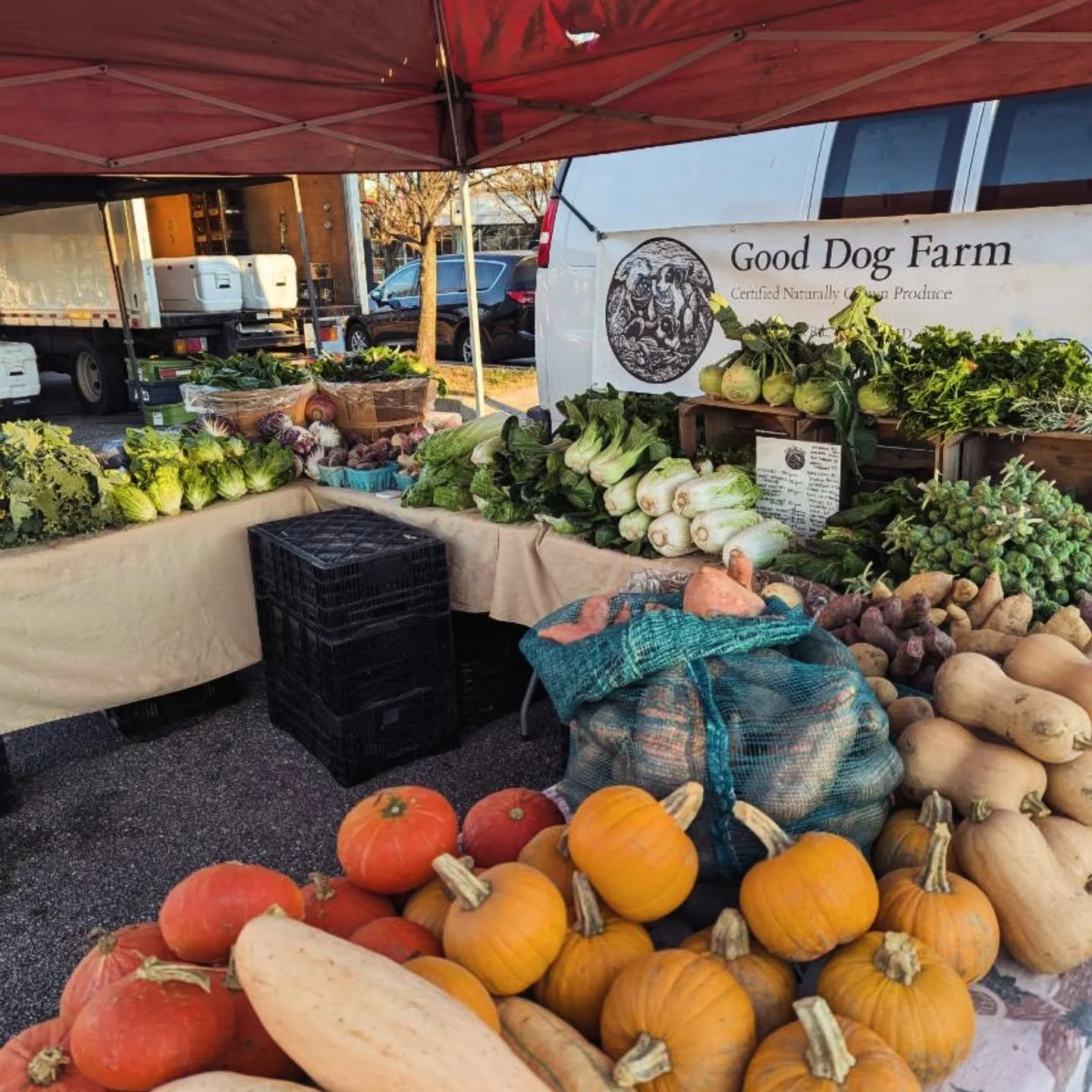 Very excited (and a bit belated) to announce that we'll be at @32ndfm every Saturday this winter and spring (11/29 - 6/6)! This has been a dream for our farm for many years - Bryan and I both used to live in Charles Village, and we met for the first 