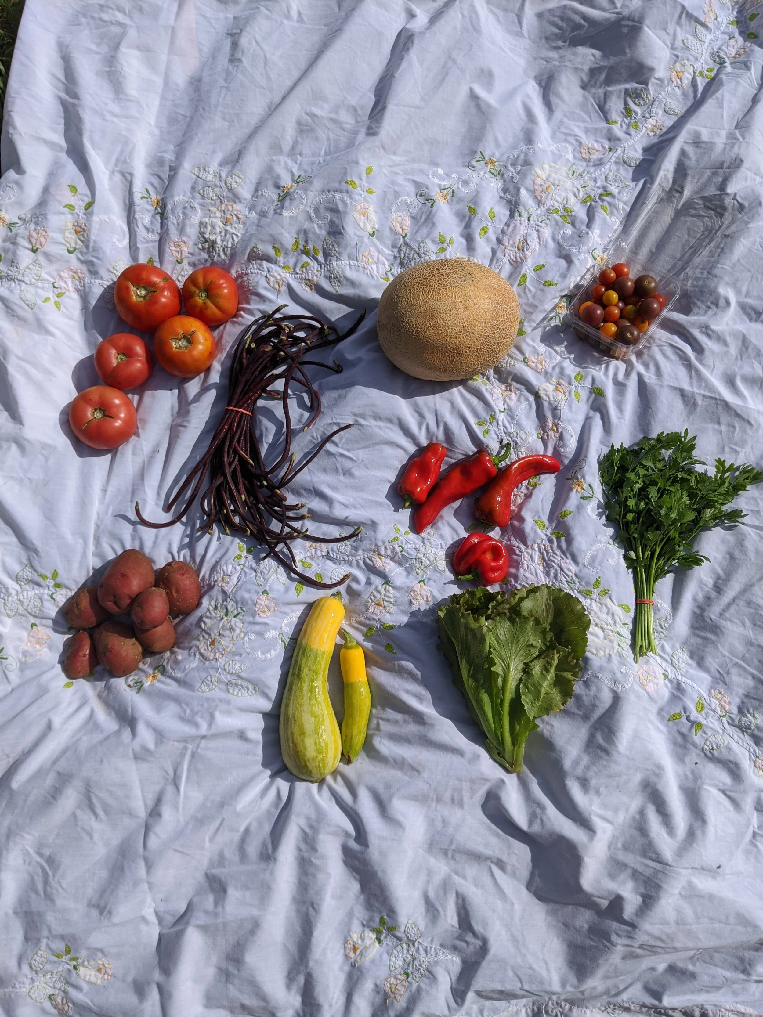 IMG_20200820_100553 (1).jpg