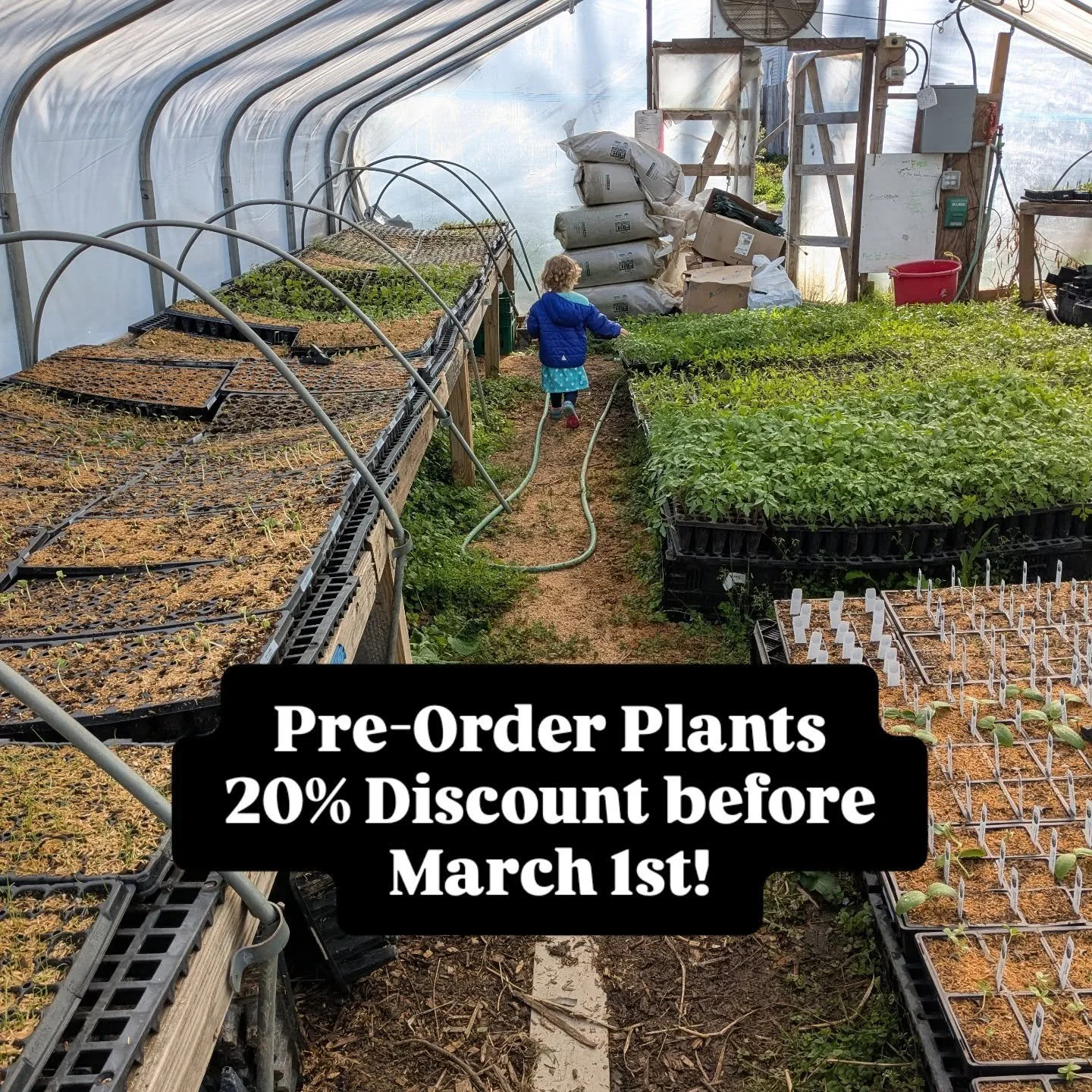 It's time to start dreaming about your 2026 garden! Pre-order your vegetable and flower plants for pick up in April and May at @32ndfm or at our farm. Plus all plant orders are 20% off before March 1st - place your order at the link in our bio!