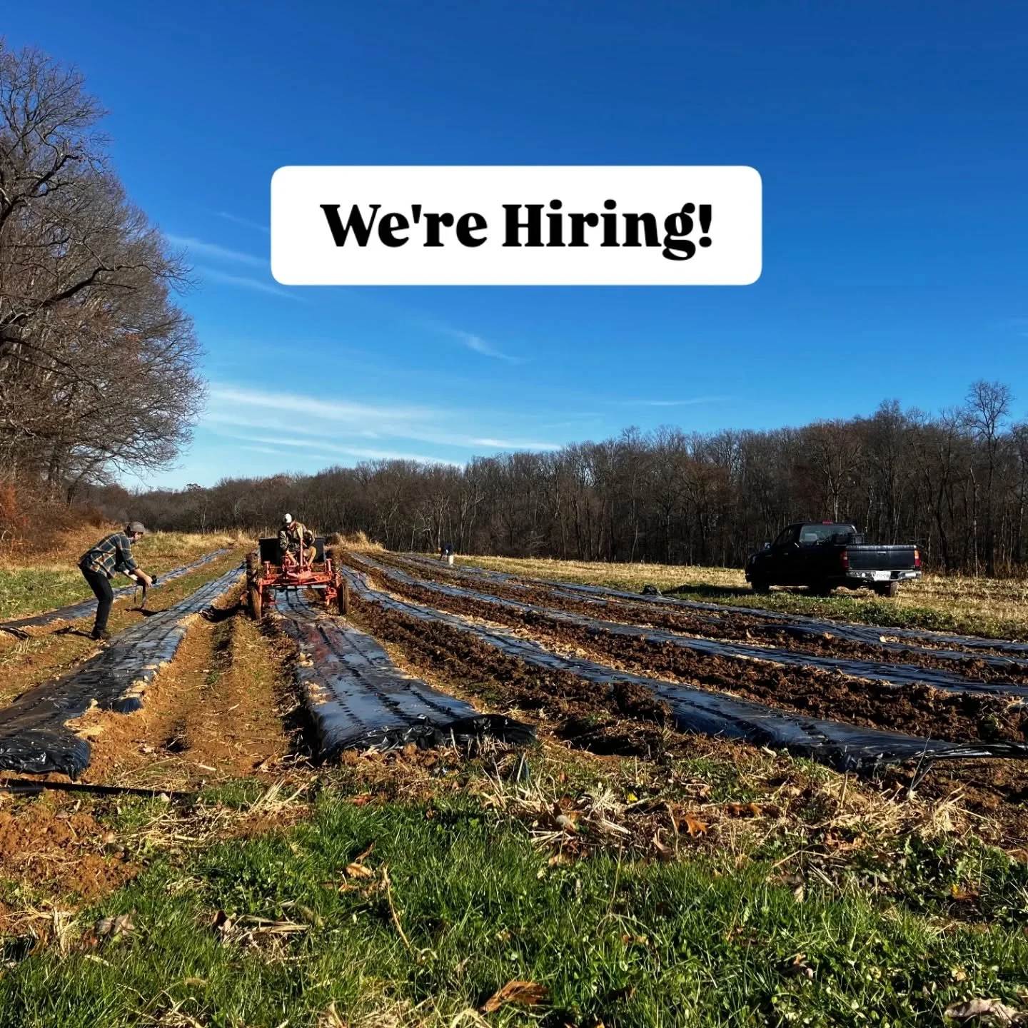 We're hiring for a few part time positions: Seasonal Crew Member and Delivery Driver! Check the link in our bio to learn more about working here, what the positions entail and application instructions!