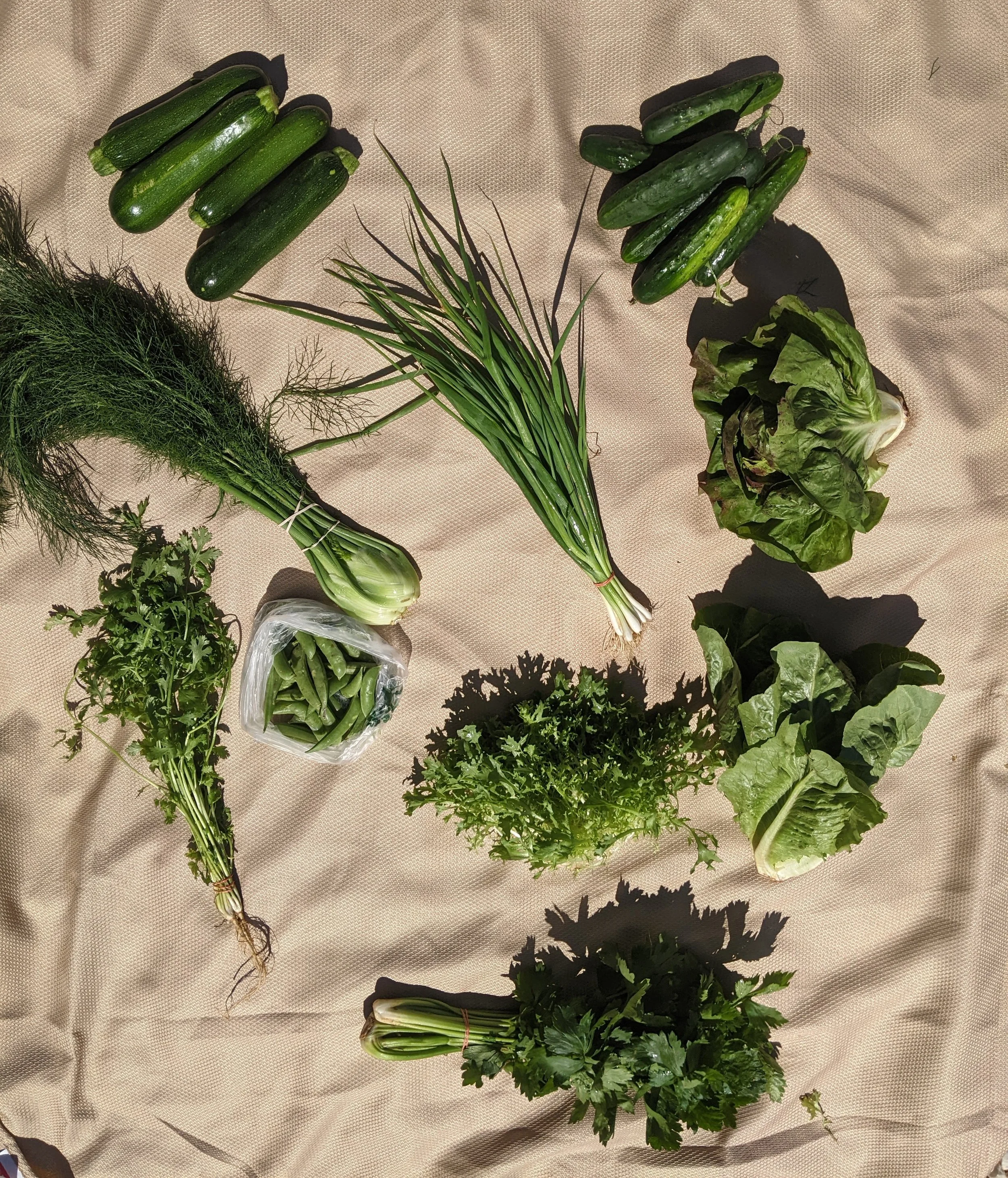 Example Good Dog Farm CSA Share