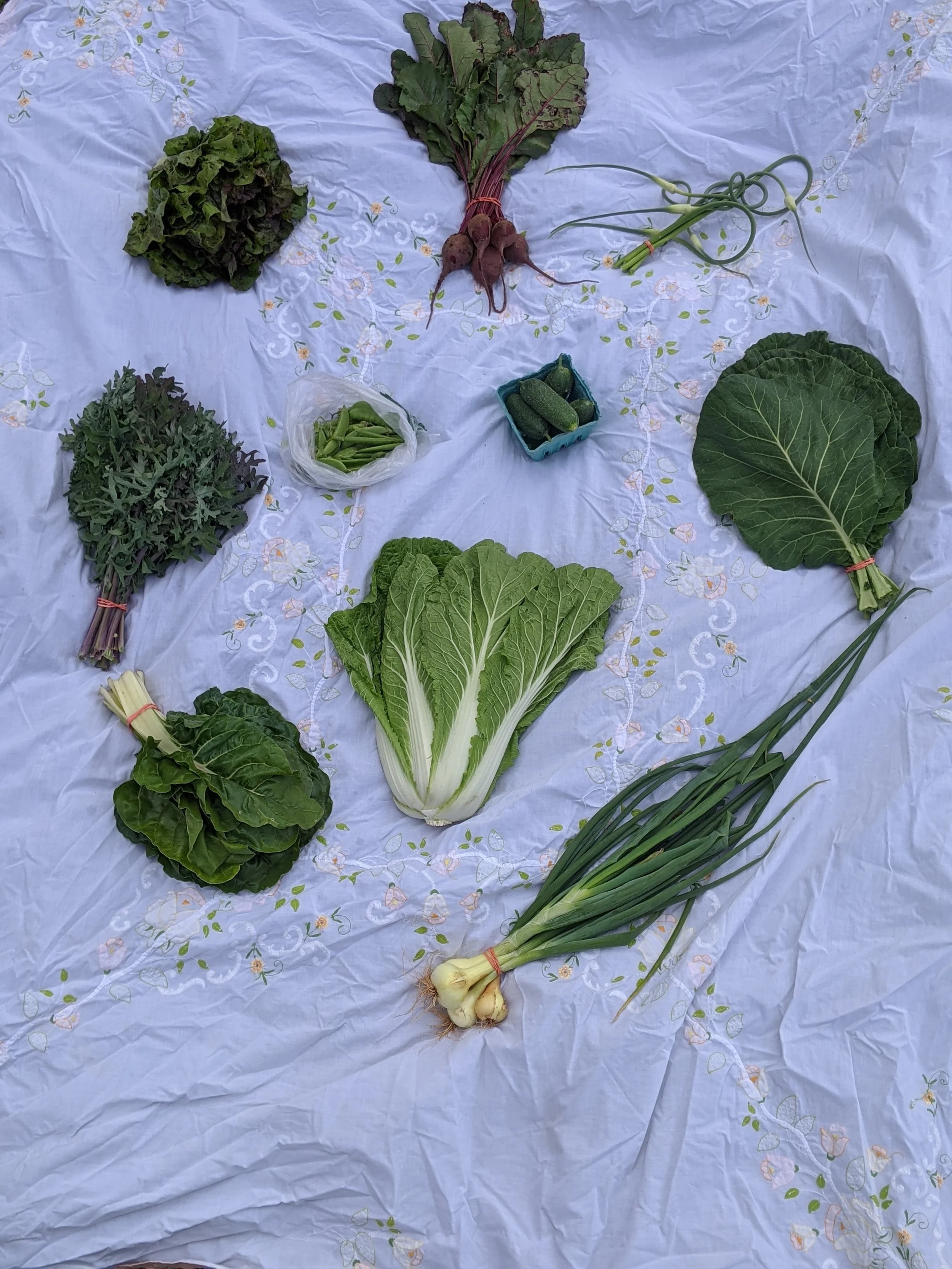 IMG_20200616_164318 (2).jpg