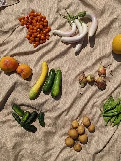 Example Good Dog Farm CSA Share