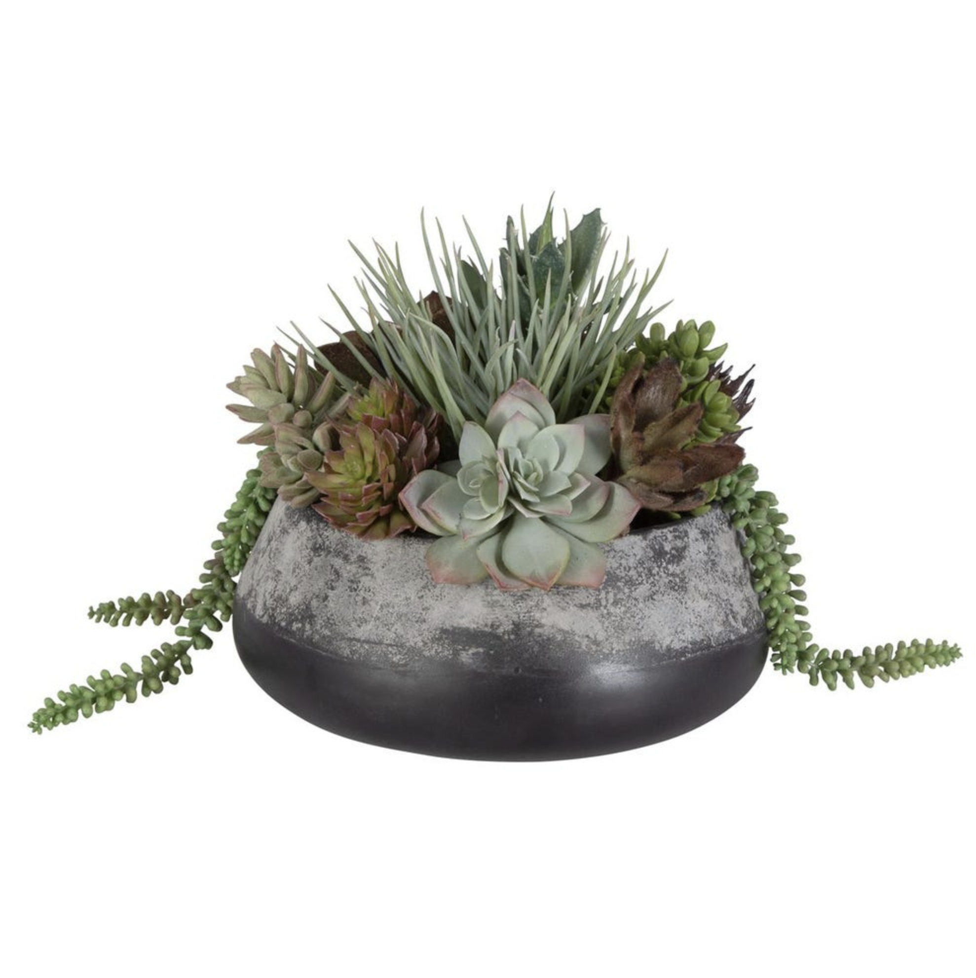 Screen Shot 2026-03-17 at 10.09.26 AM.png