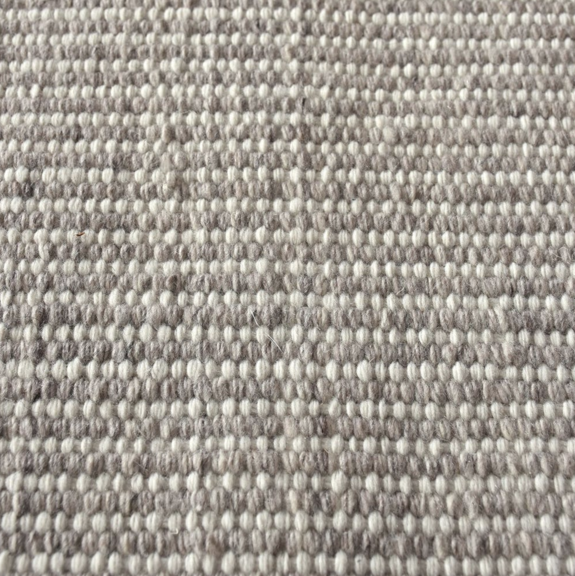 Screen Shot 2026-03-13 at 10.53.23 AM.png