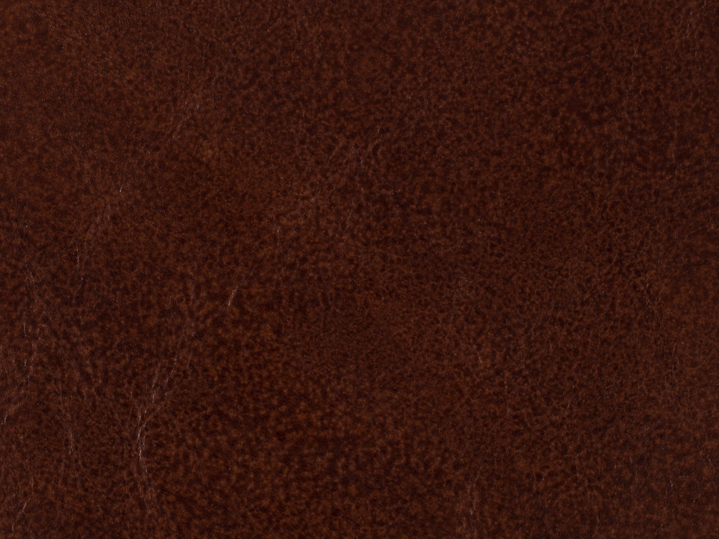 Screenshot 2026-01-15 at 1.36.10 PM.png