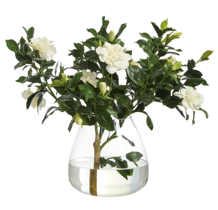 Gardenia Branch in Round Glass Vase Cream