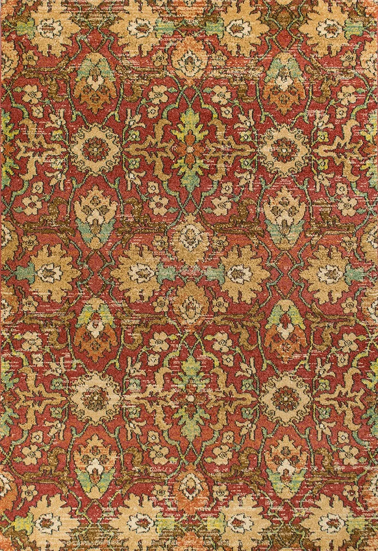 Casablanca Spice Valencia.jpg