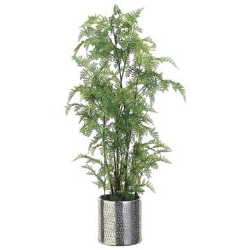 Leather Fern In Aluminum Planter