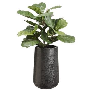 51" Fiddle Leaf Tree In Textured Planter