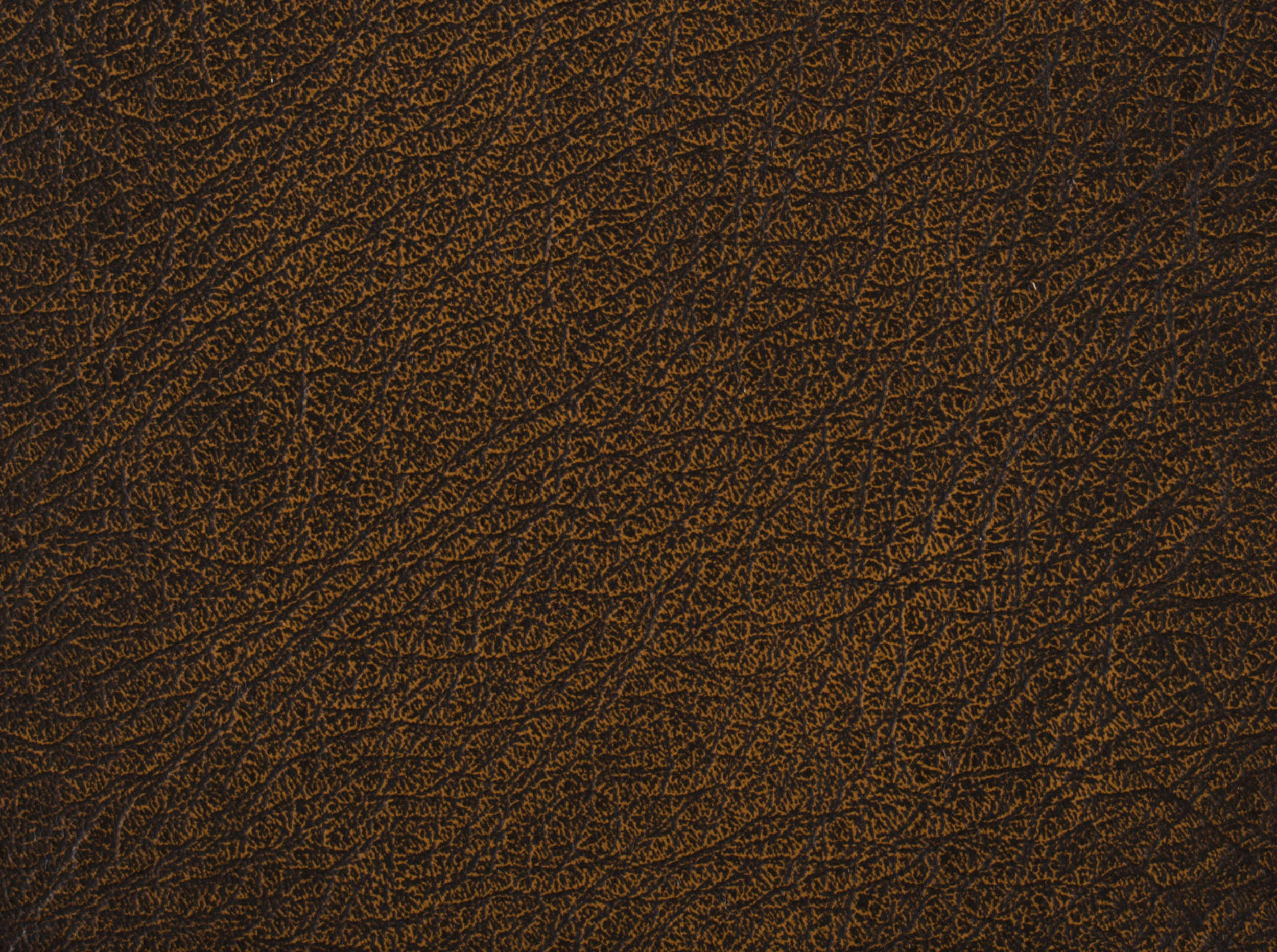 Screen Shot 2022-04-20 at 5.15.58 PM.png