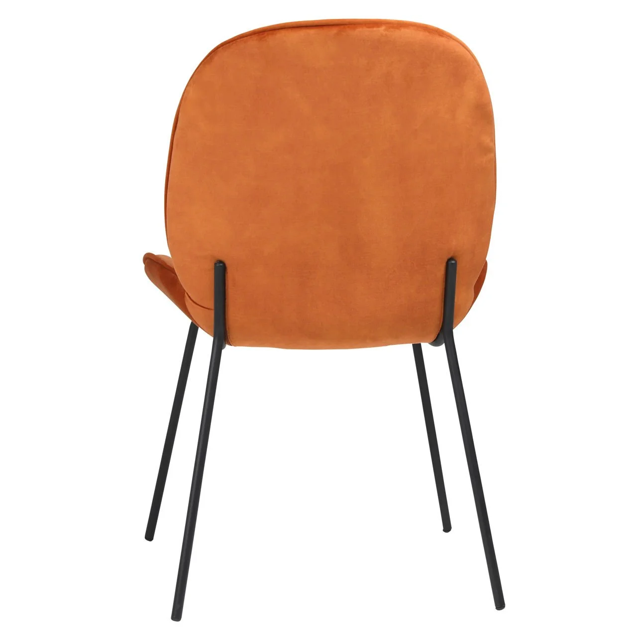 dov12200---back.jpg