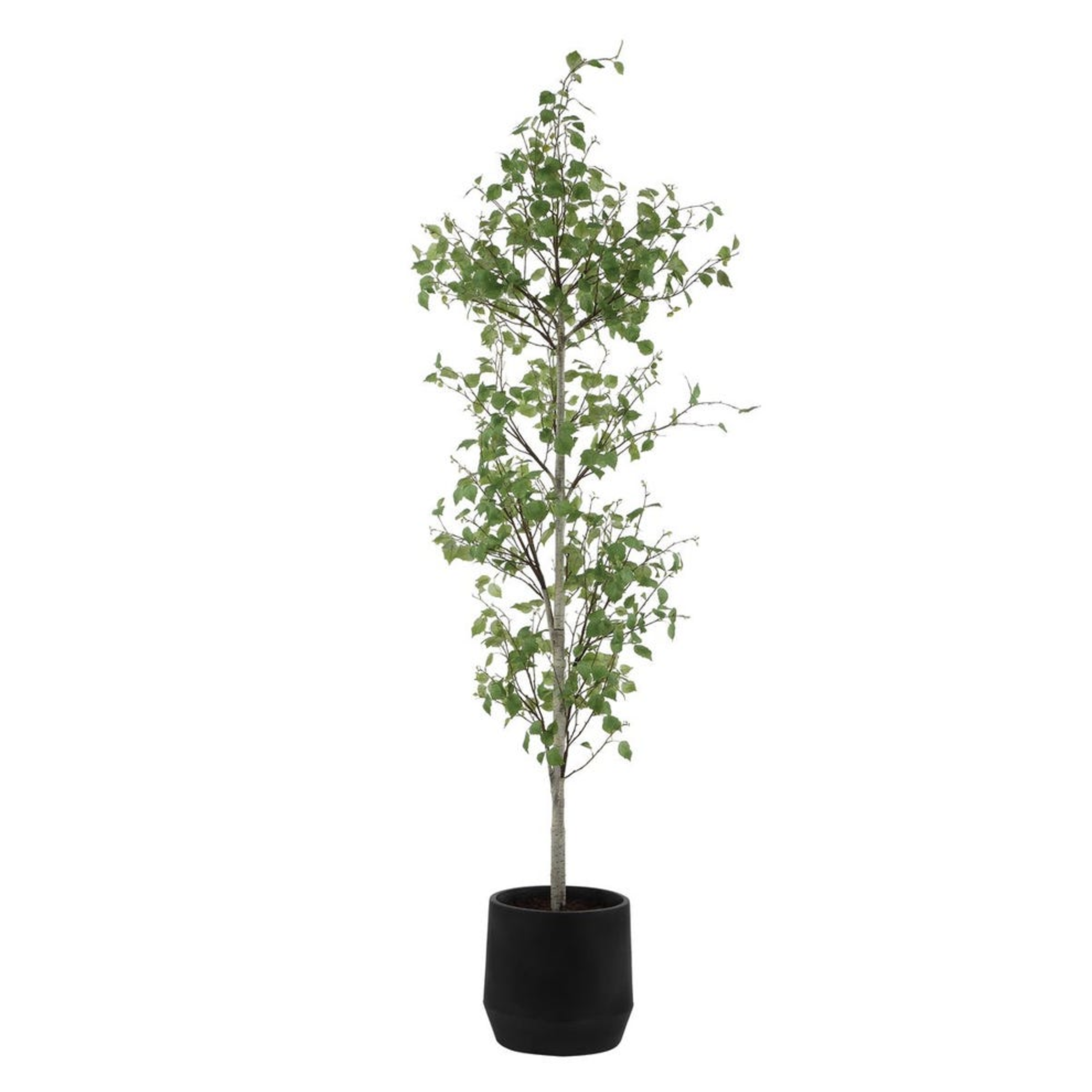 Screen Shot 2026-03-16 at 10.20.18 AM.png