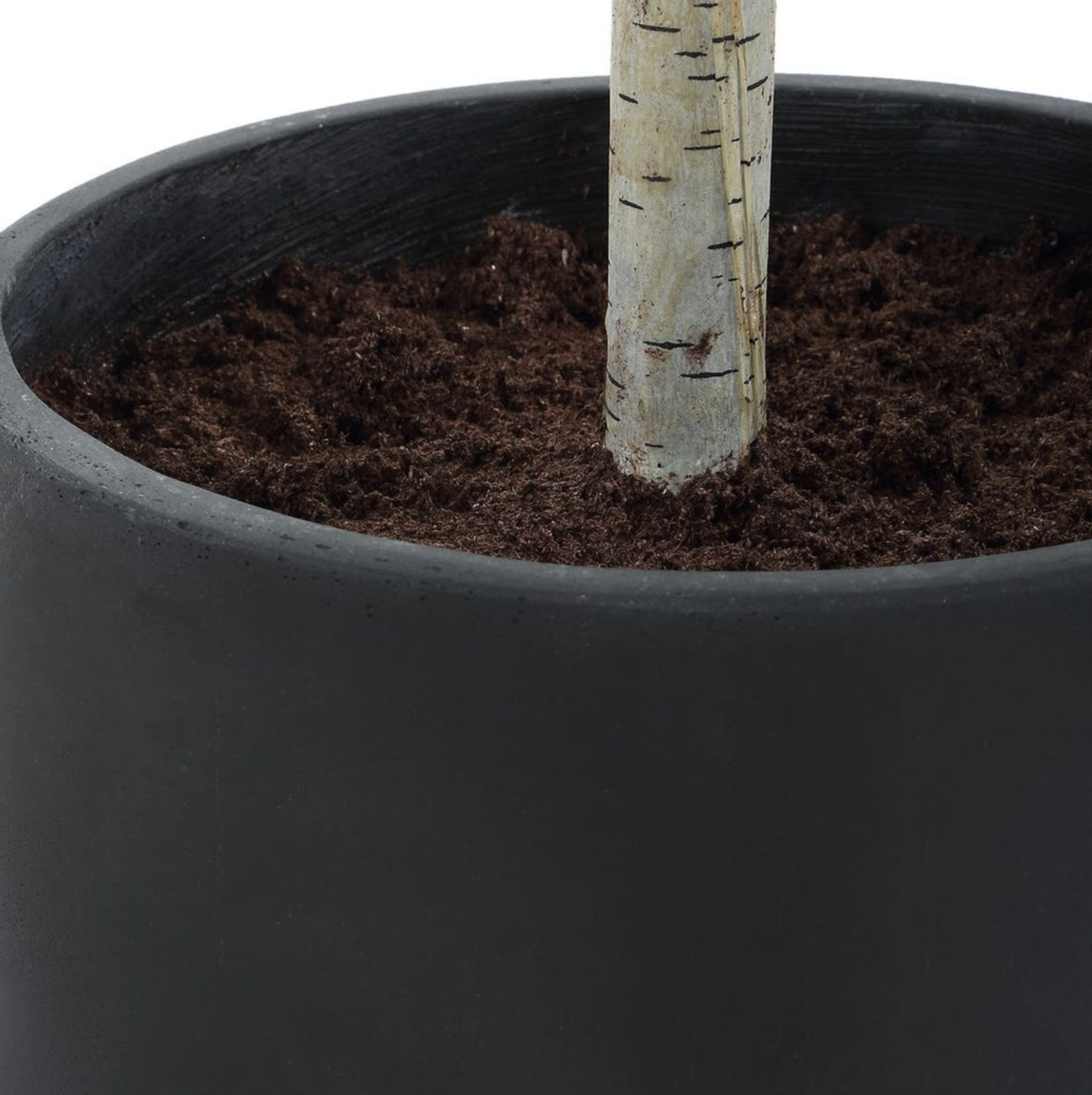 Screen Shot 2026-03-16 at 10.20.41 AM.png