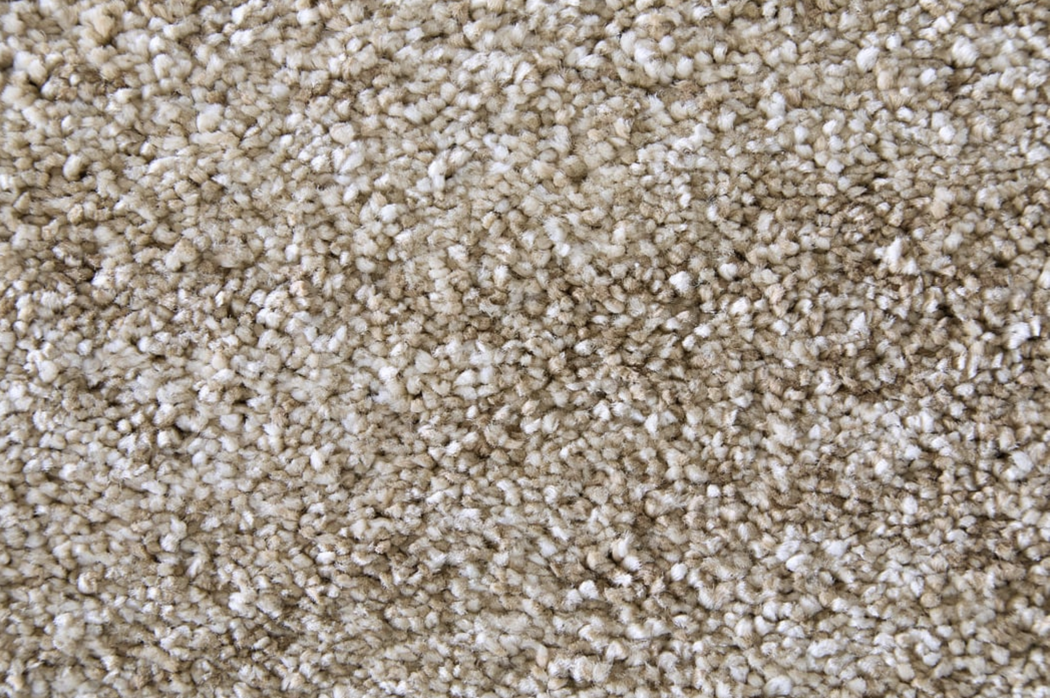 Screenshot 2025-12-13 at 12.07.41 PM.png