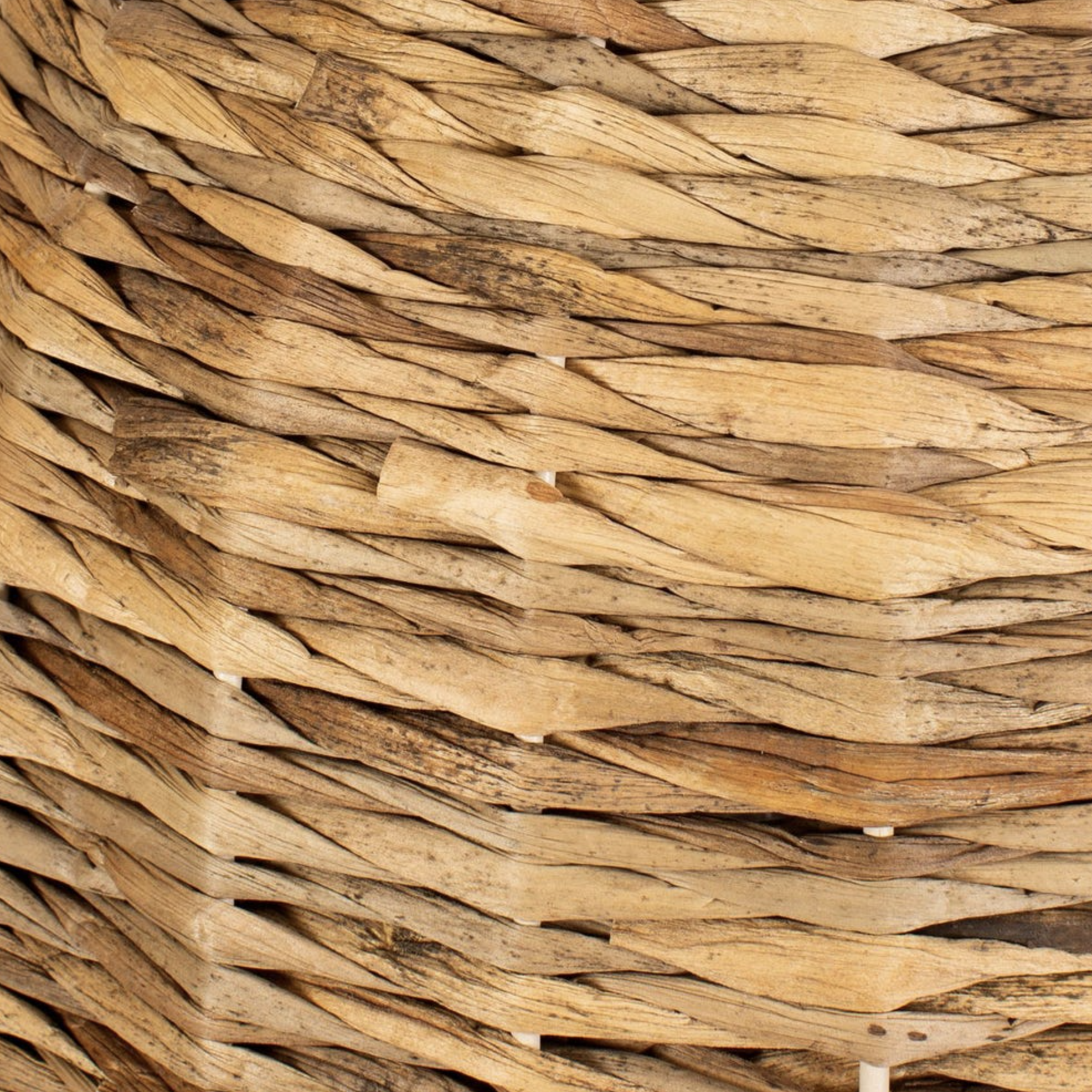 Screen Shot 2025-12-27 at 3.14.52 PM.png