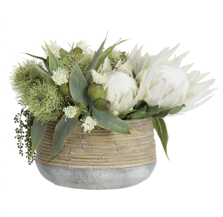 Protea/Eucalyptus in Cement Planter Cream Green