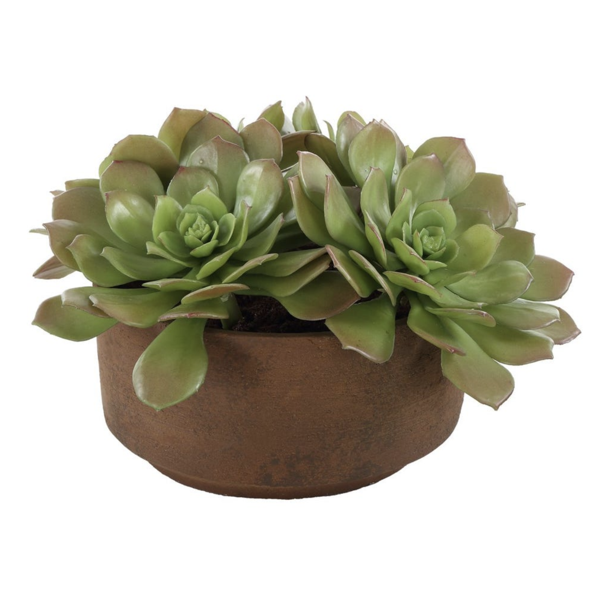 Screen Shot 2026-03-16 at 10.13.28 AM.png