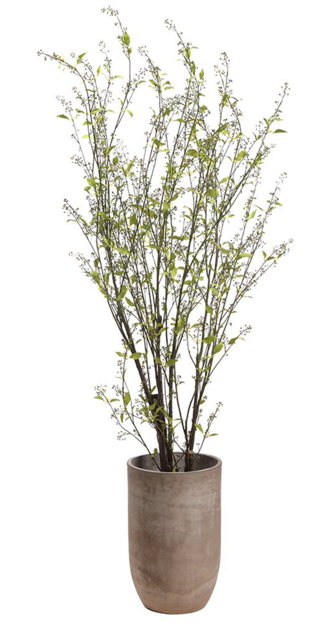 Screen Shot 2024-10-07 at 12.43.14 PM.png