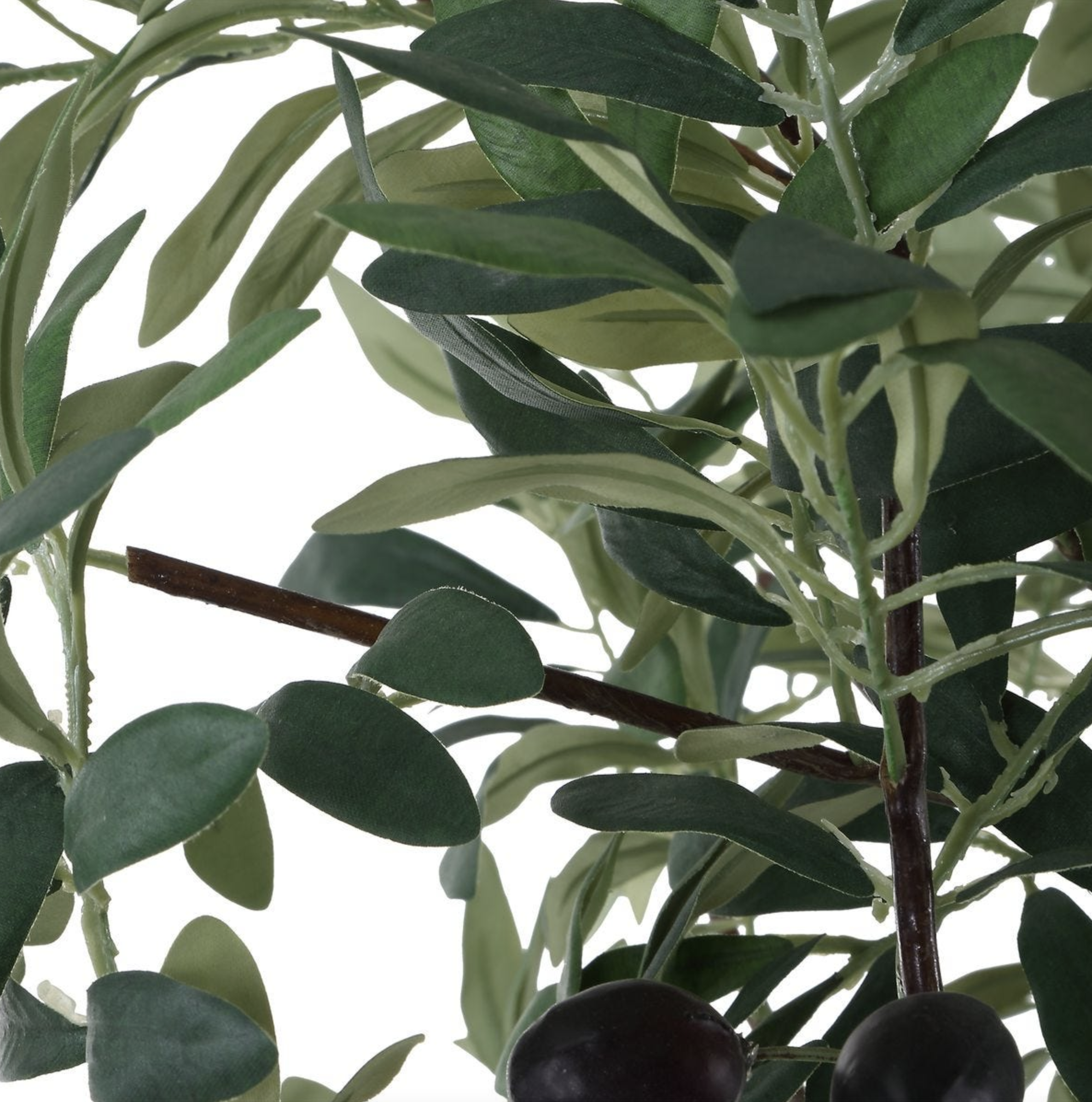 Screen Shot 2026-03-16 at 10.04.39 AM.png