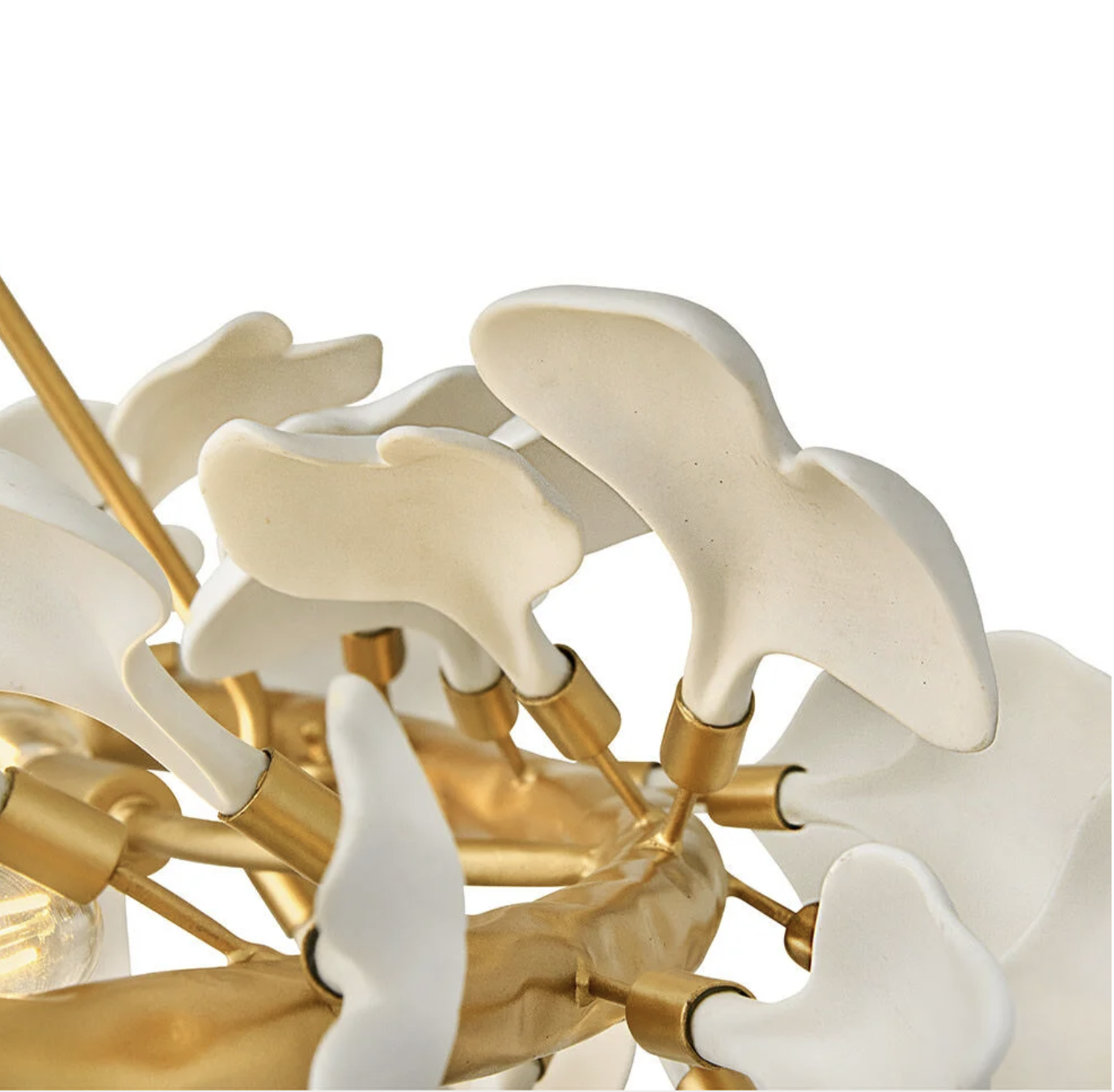 Screen Shot 2025-06-24 at 2.50.49 PM.png