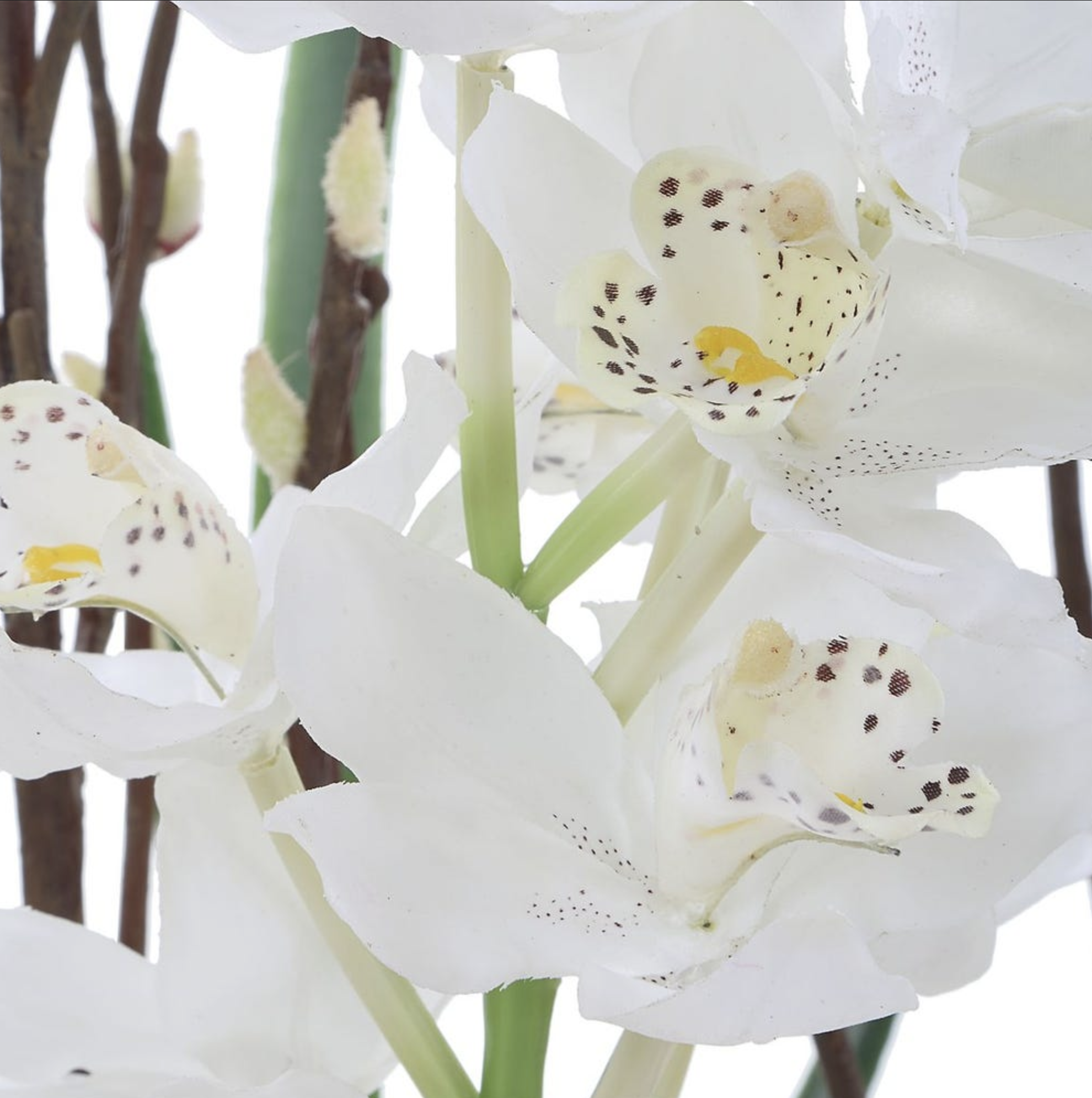 Screen Shot 2026-03-16 at 10.30.22 AM.png