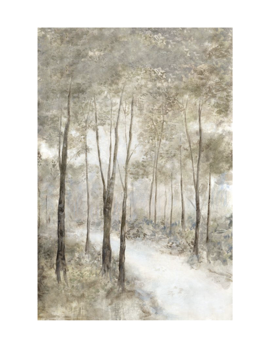 The Path Taken Framed Canvas