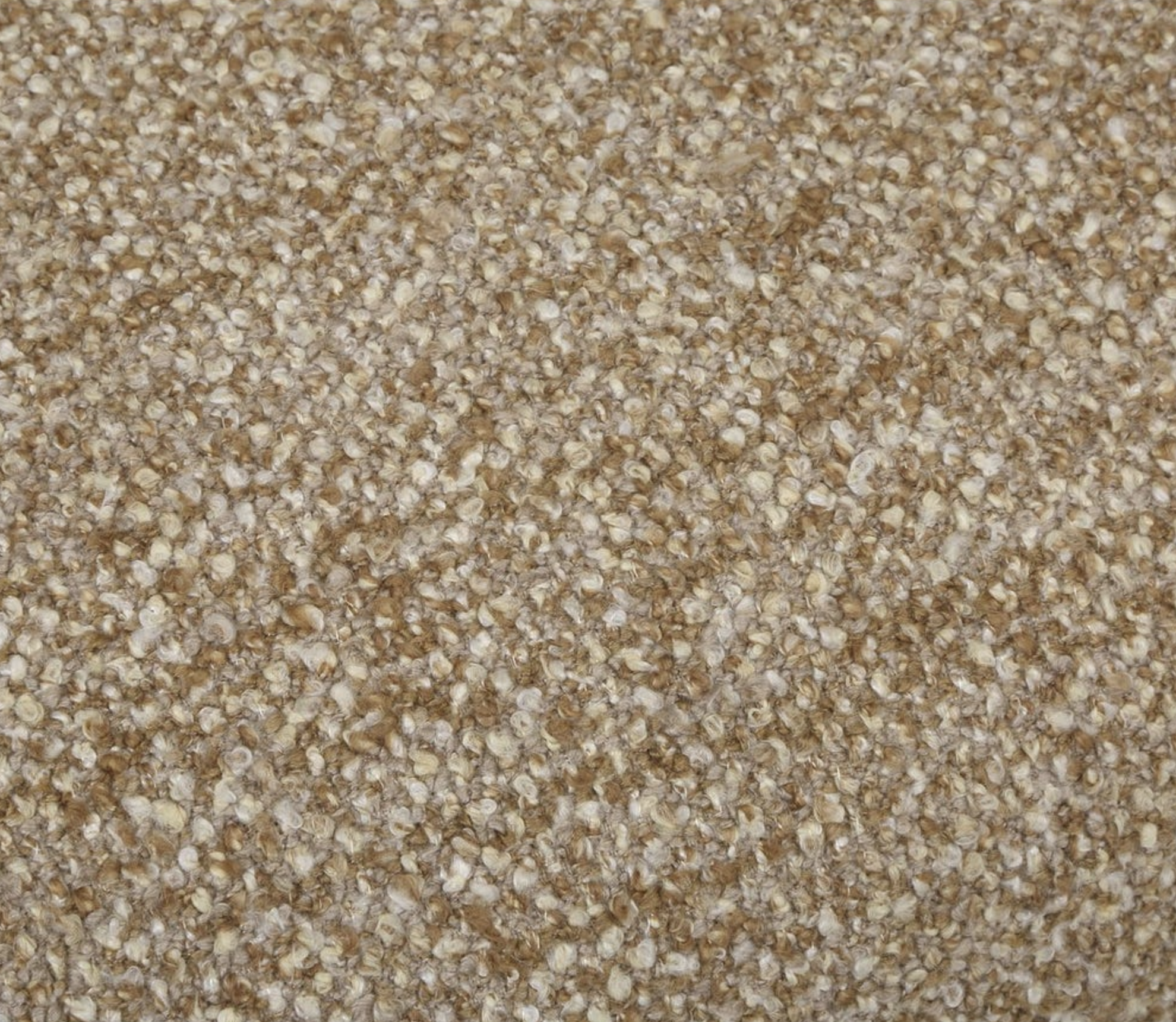 Screen Shot 2026-03-19 at 10.21.57 AM.png