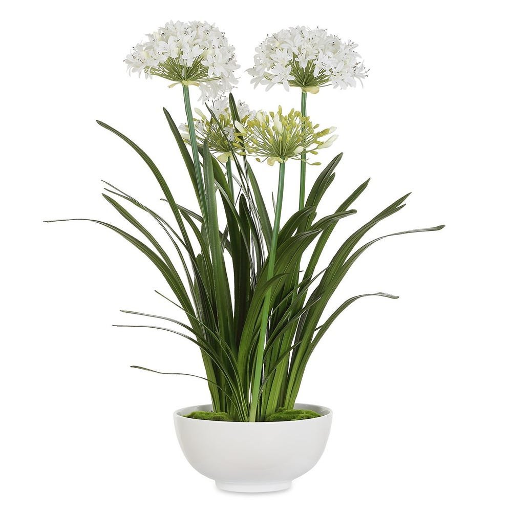 39" Purity Agapanthus Centerpiece