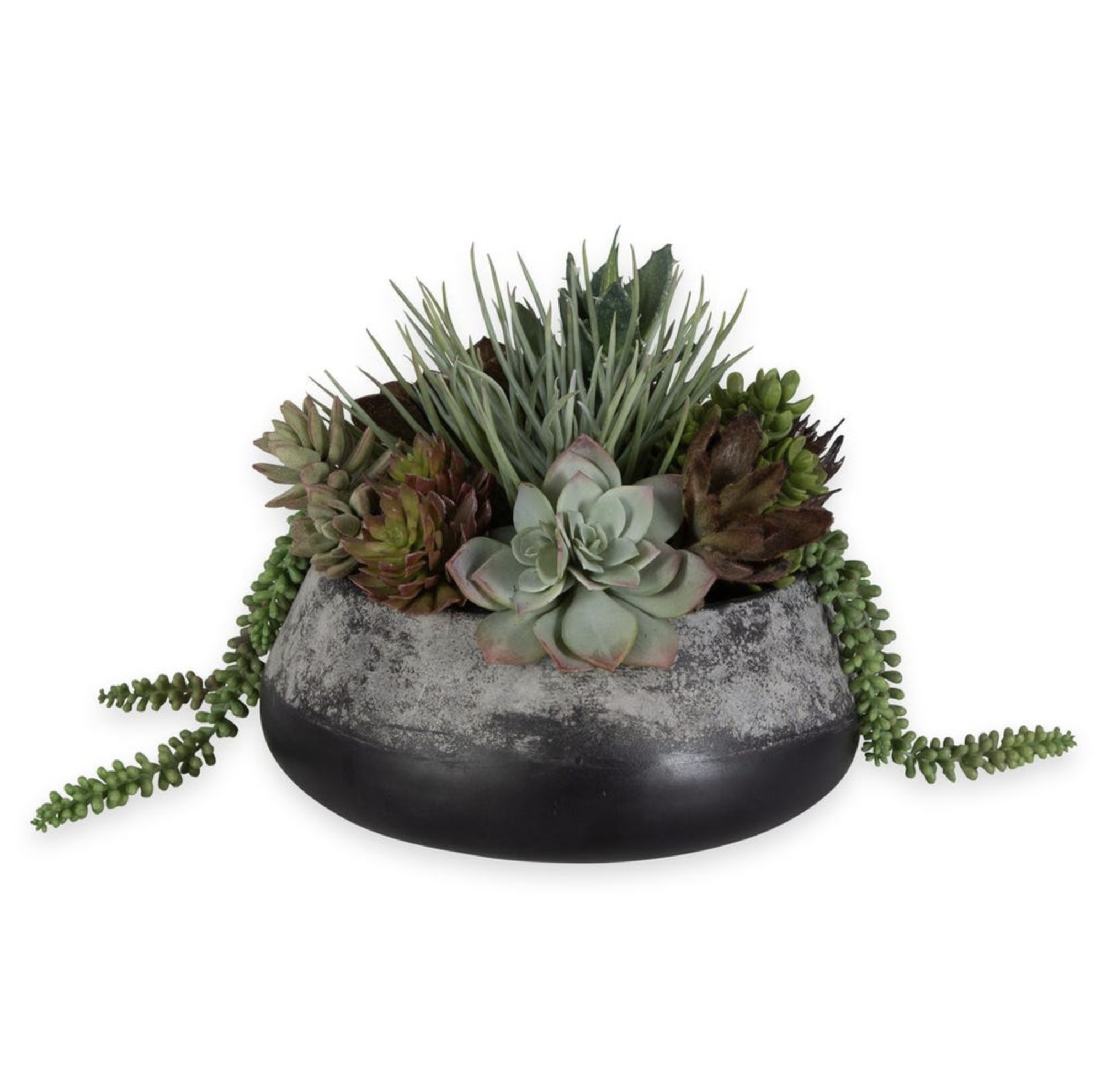 Screen Shot 2026-03-17 at 10.09.19 AM.png