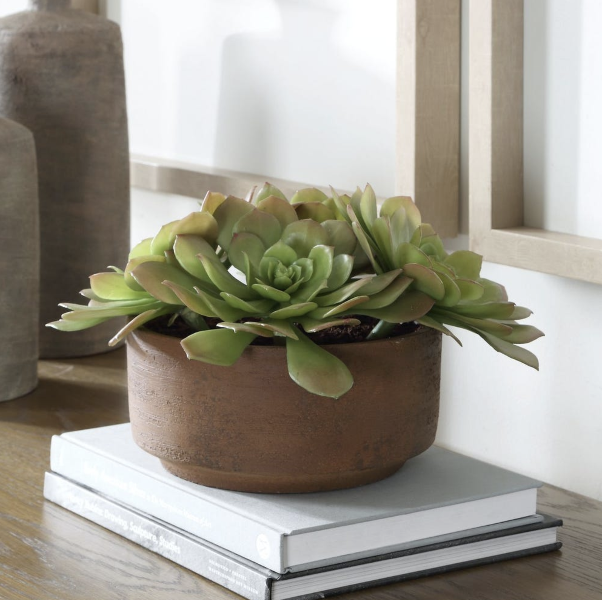 Sable Succulent Accent