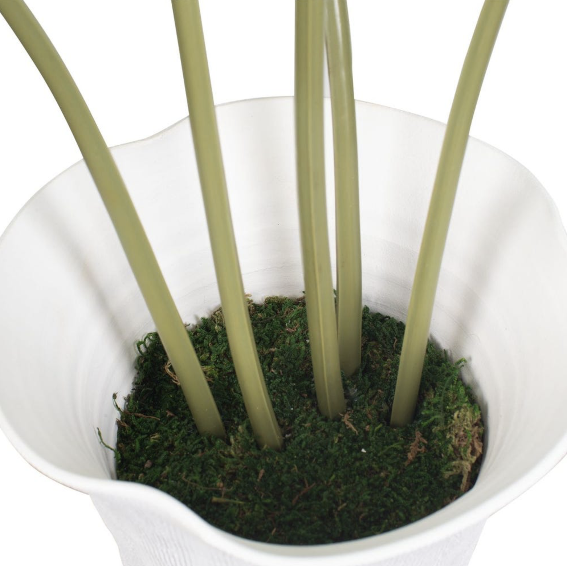 Screenshot 2026-03-16 at 4.21.39 PM.png