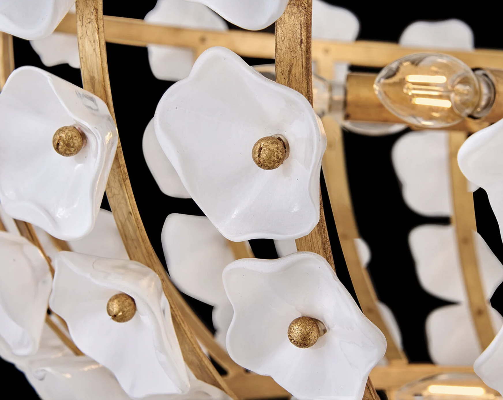 Screen Shot 2025-06-24 at 3.04.38 PM.png