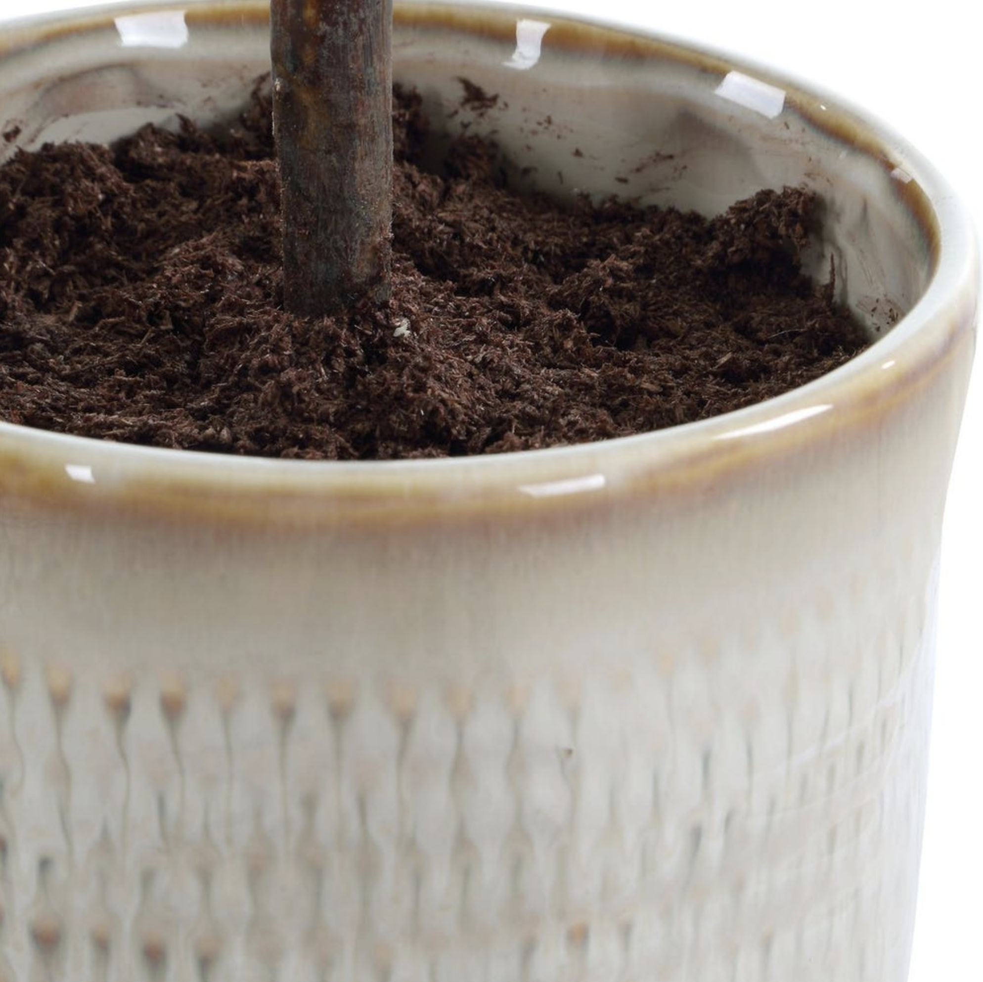 Screen Shot 2026-03-16 at 1.22.41 PM.png