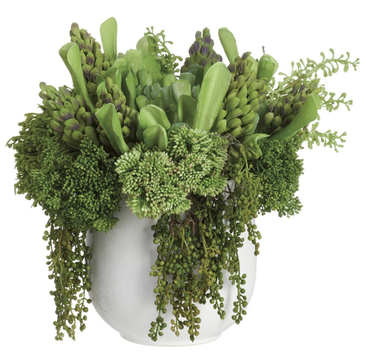 Mixed Succulents in Ceramic Vase Green
