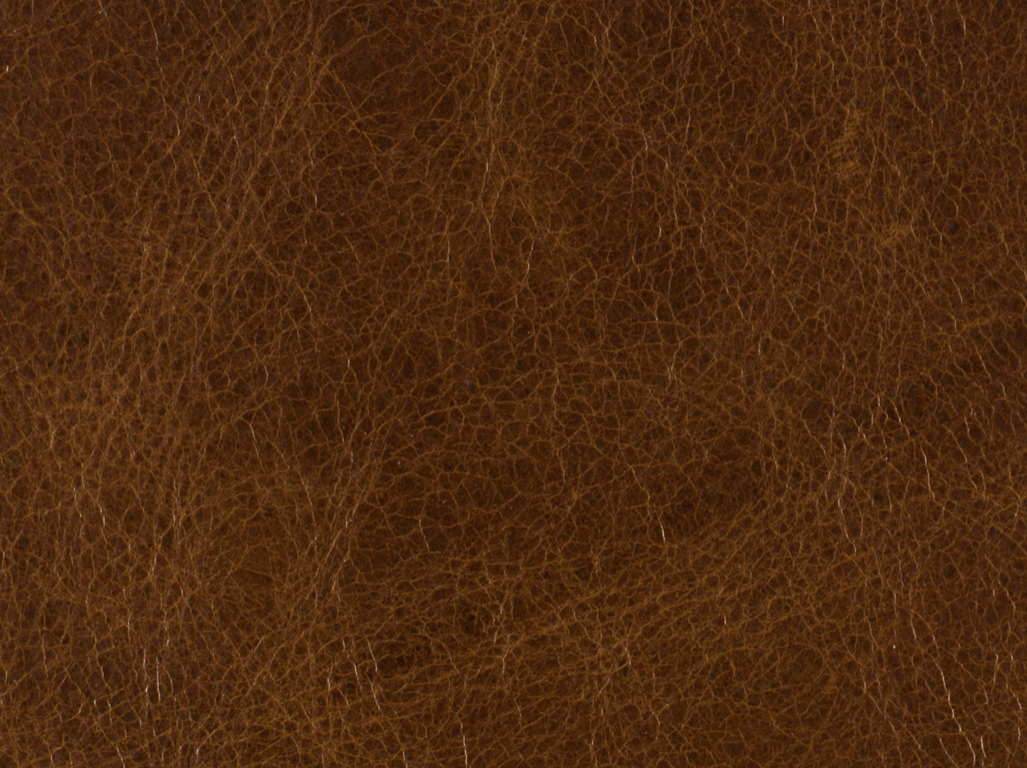 Screenshot 2026-01-15 at 1.30.15 PM.png