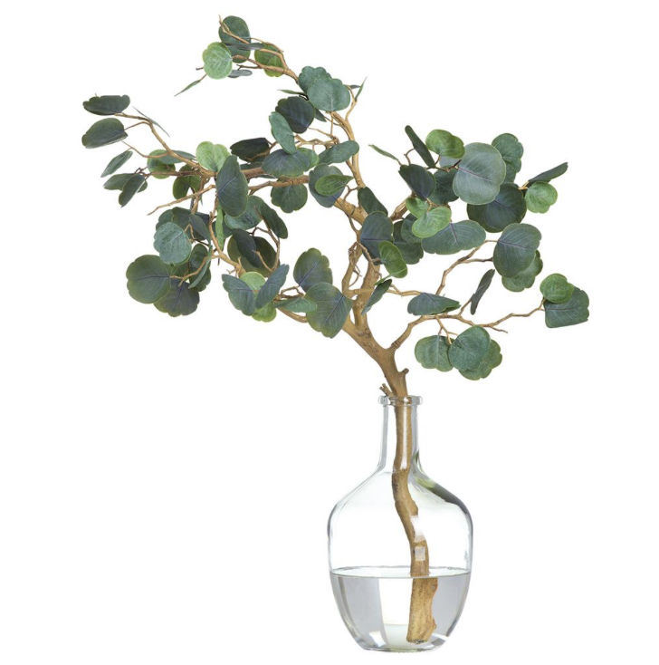 Cotinus Branch in Glass Bottle Green