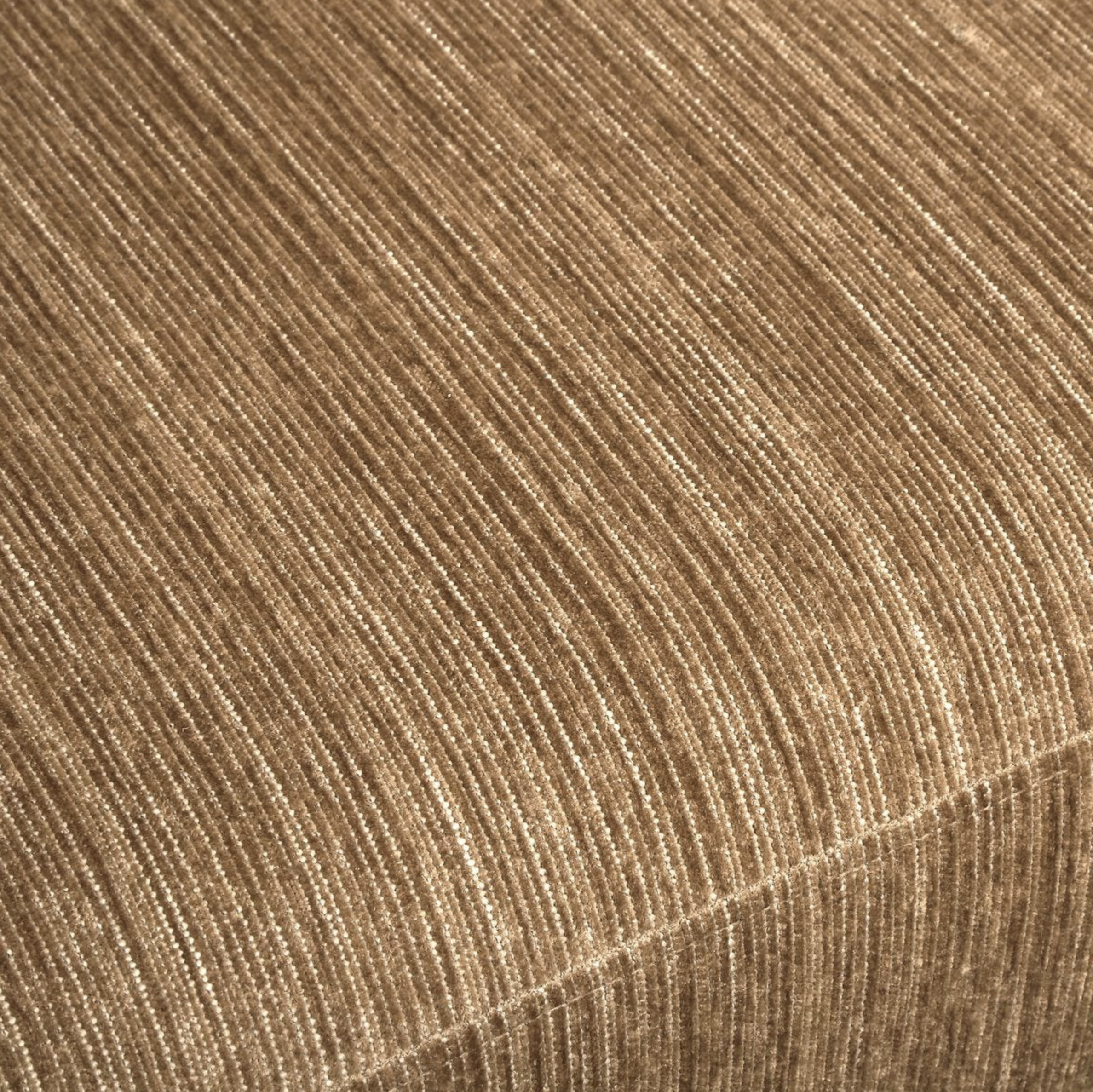 Screen Shot 2026-03-19 at 10.05.42 AM.png