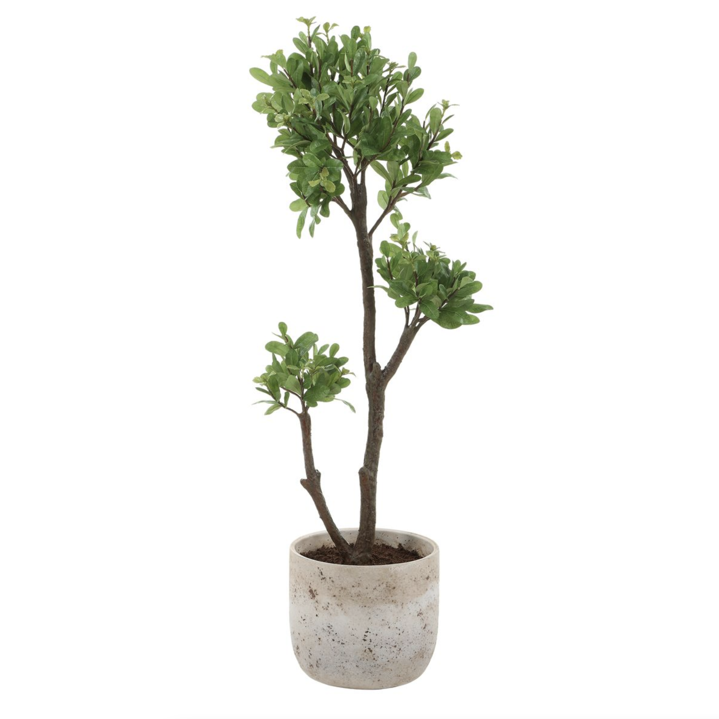 Screen Shot 2026-03-16 at 10.16.47 AM.png