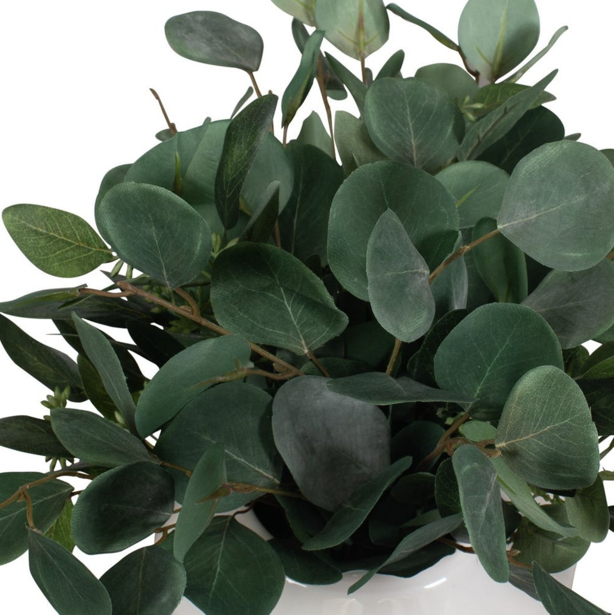 Screen Shot 2026-03-17 at 9.48.26 AM.png