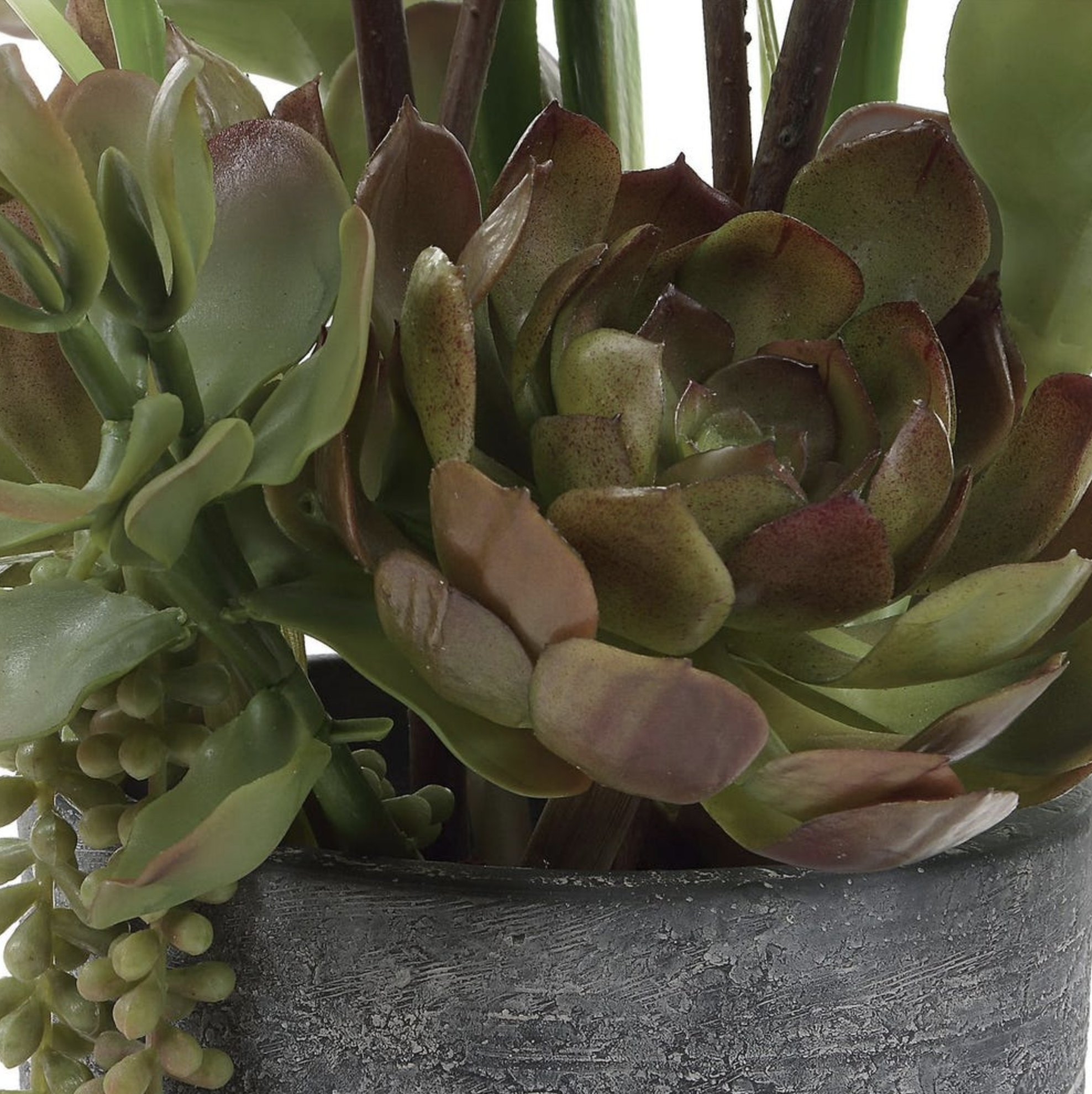 Screen Shot 2026-03-16 at 10.30.30 AM.png