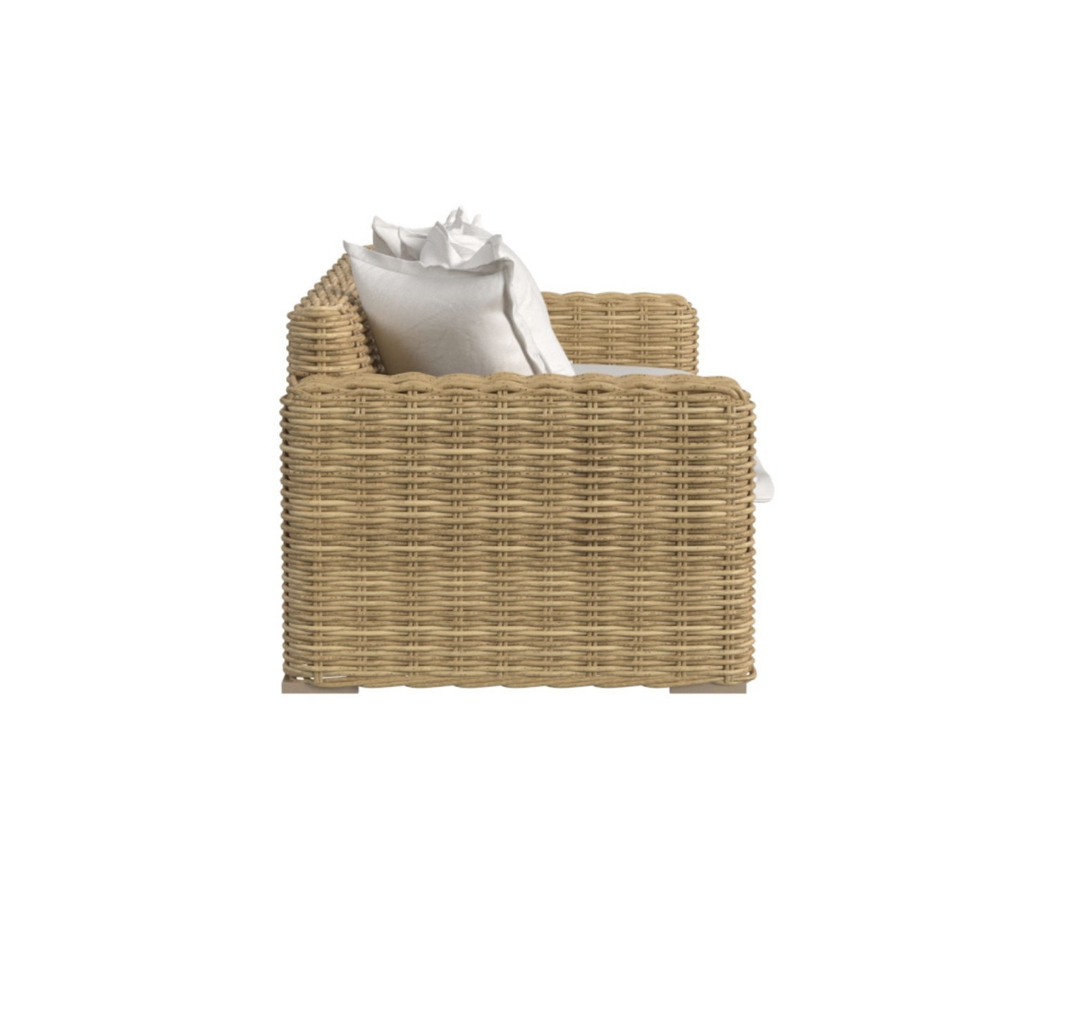 Screen Shot 2025-02-12 at 3.45.09 PM.png