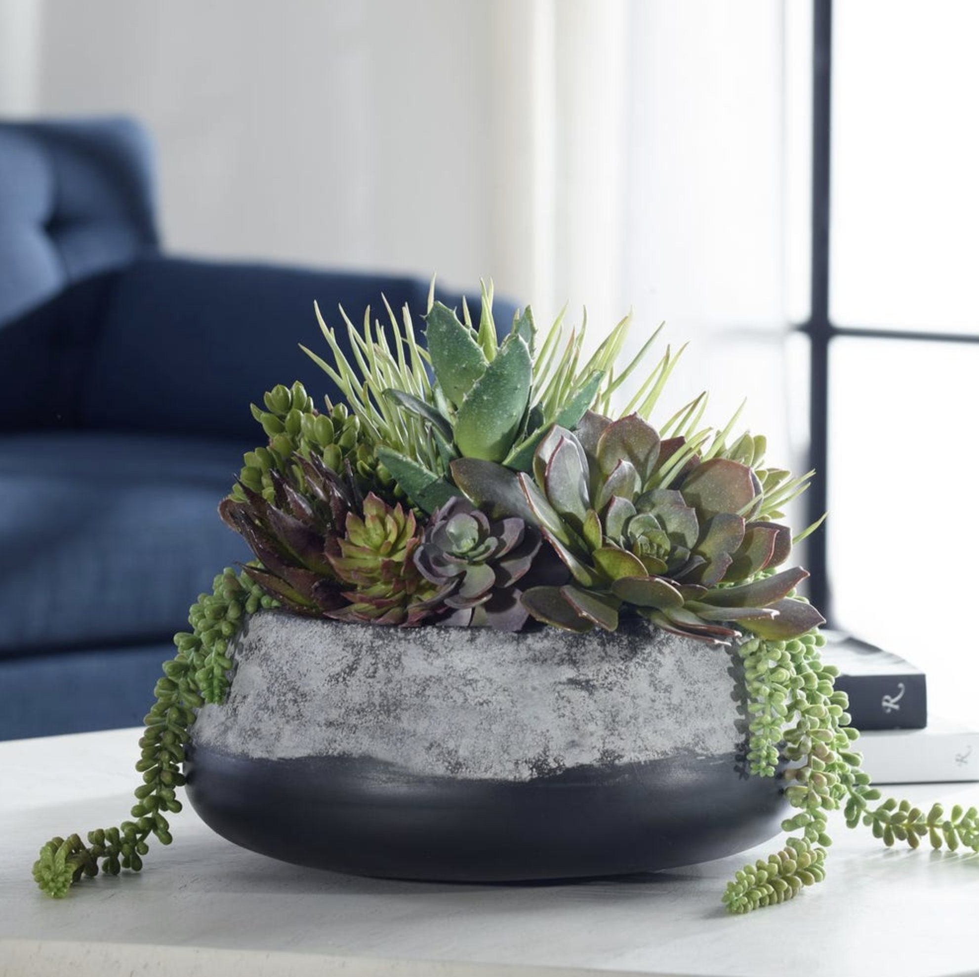Gobi Succulent Centerpiece