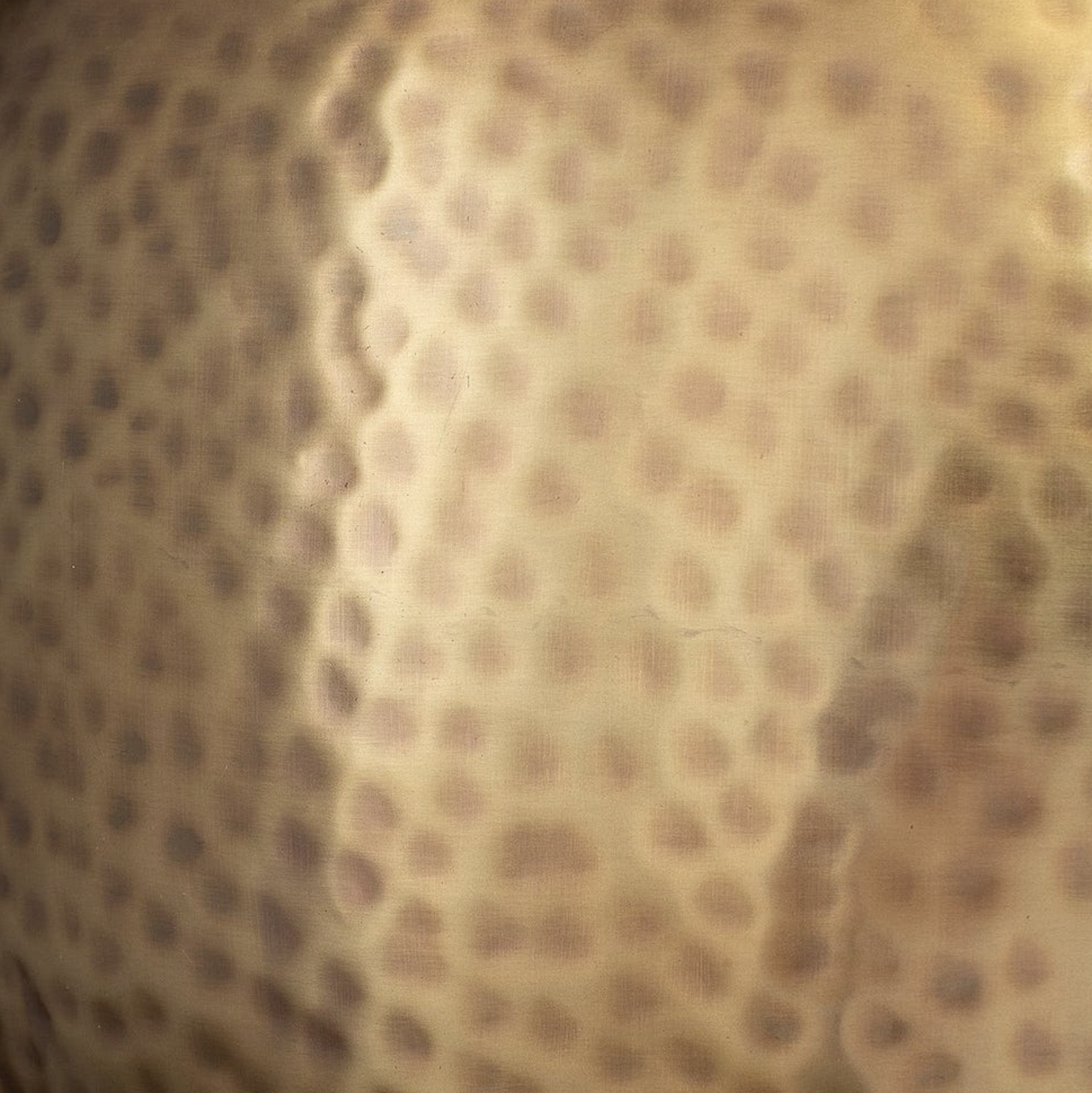 Screen Shot 2025-12-27 at 2.58.01 PM.png