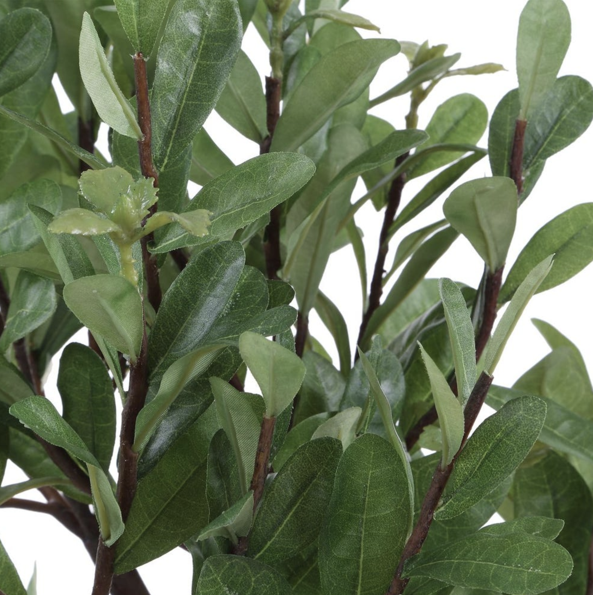 Screen Shot 2026-03-16 at 10.17.02 AM.png