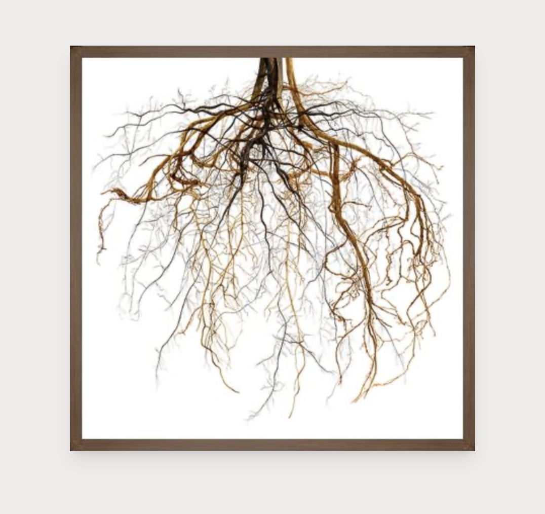 Framed Paramount Canvas with Glass Coat